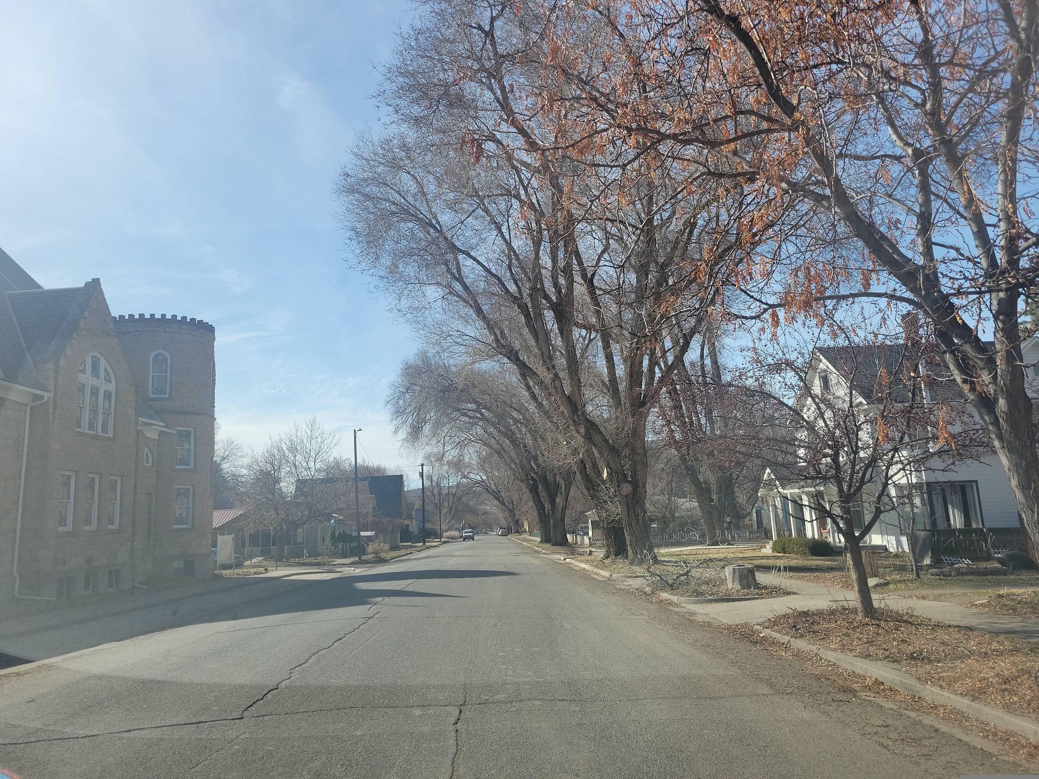 Street view of Paonia