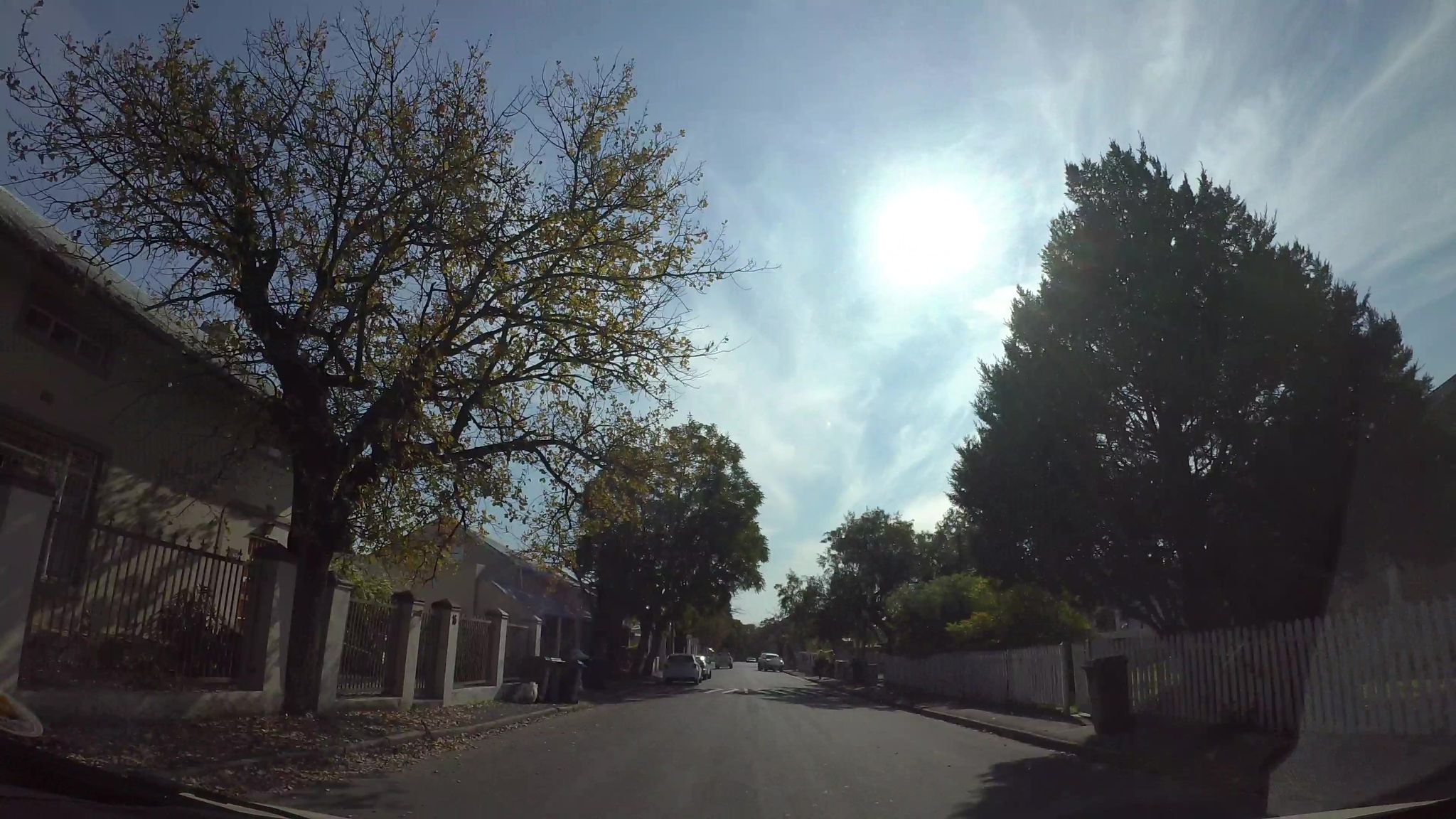 Street view of Wellington