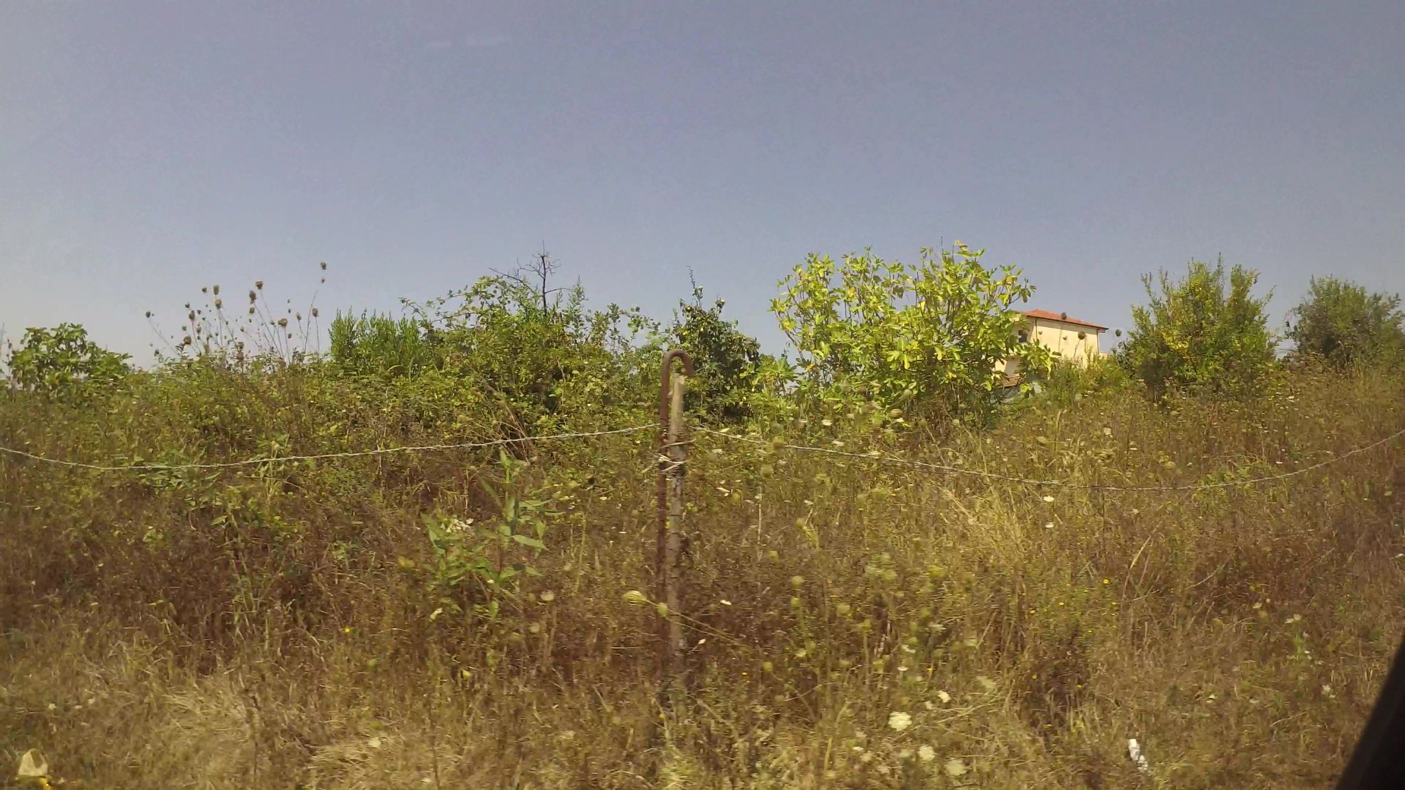 Street view of Rrashbull