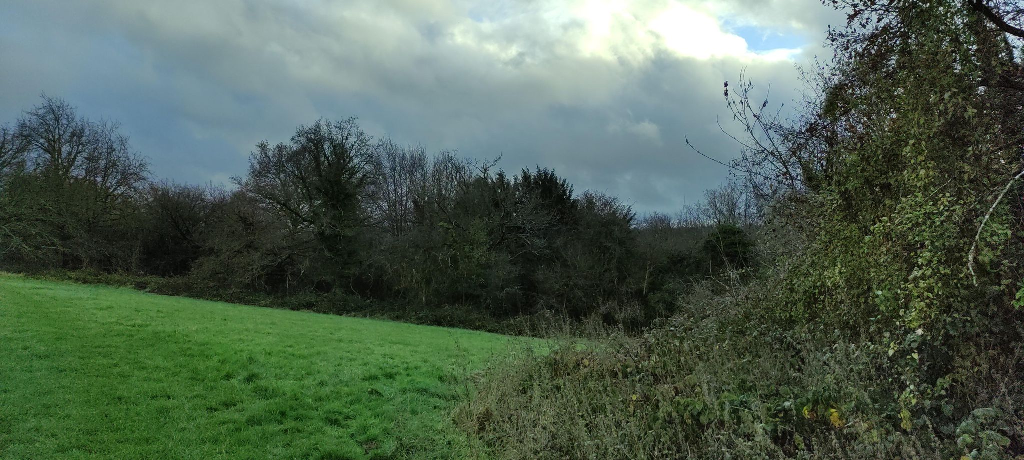Street view of Kenley
