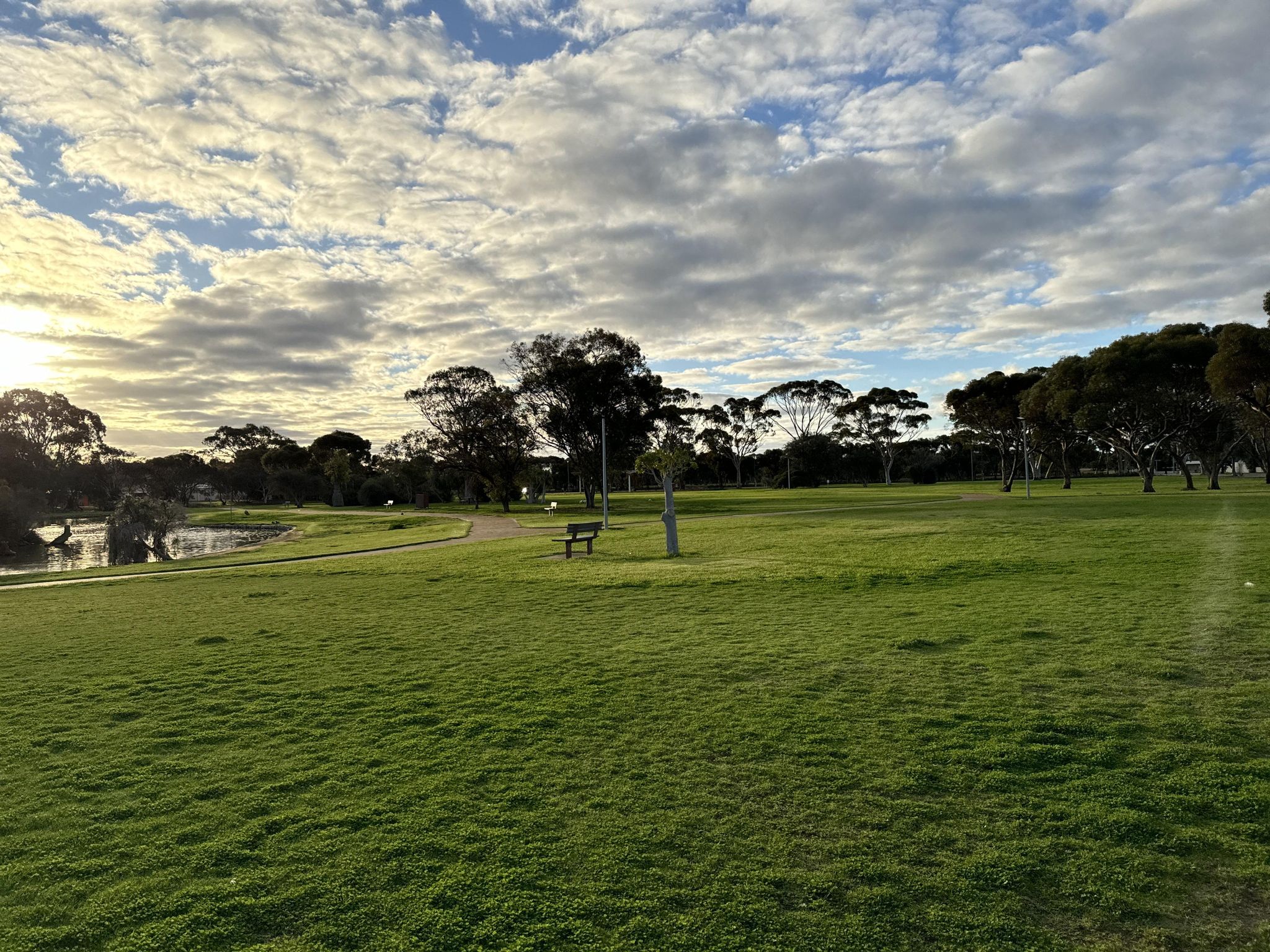 Street view of Merredin