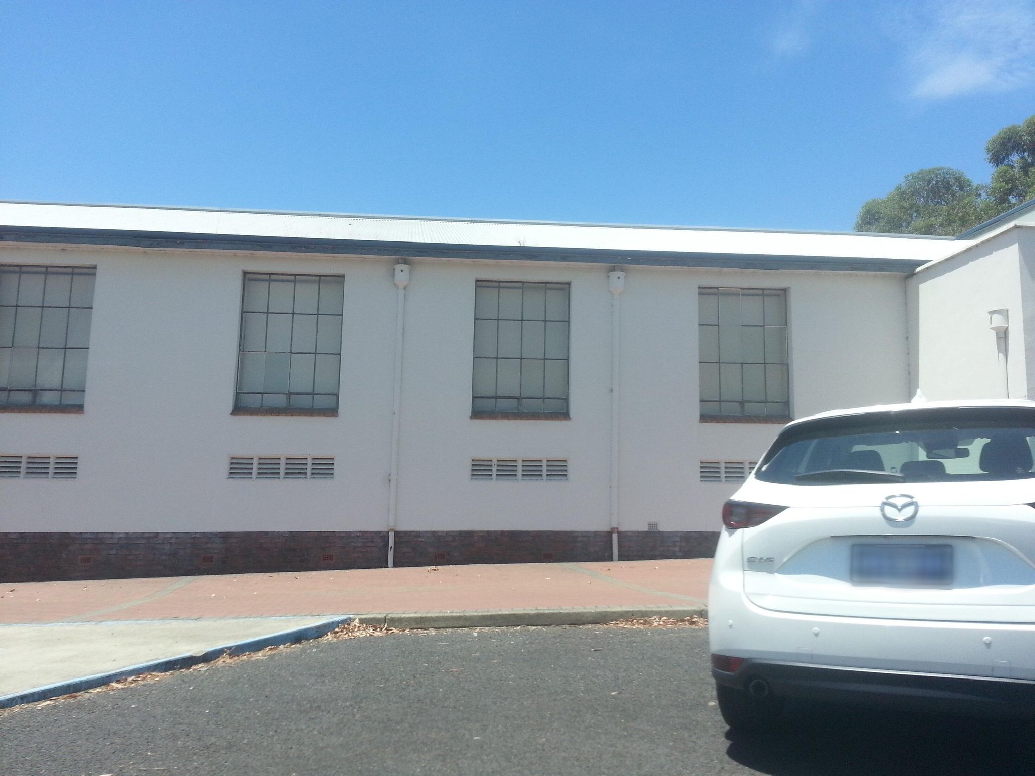Street view of Collie