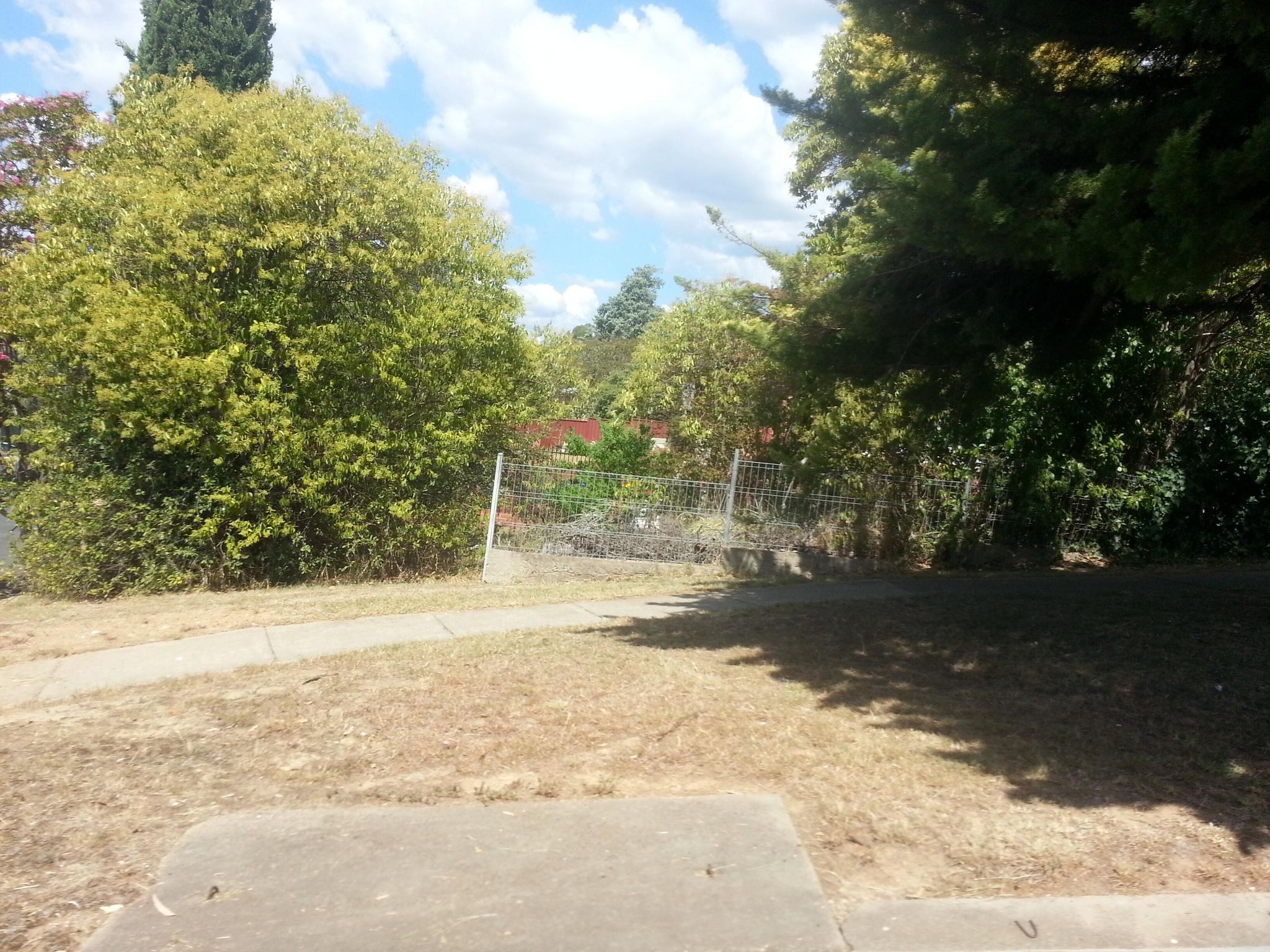 Street view of Tumut