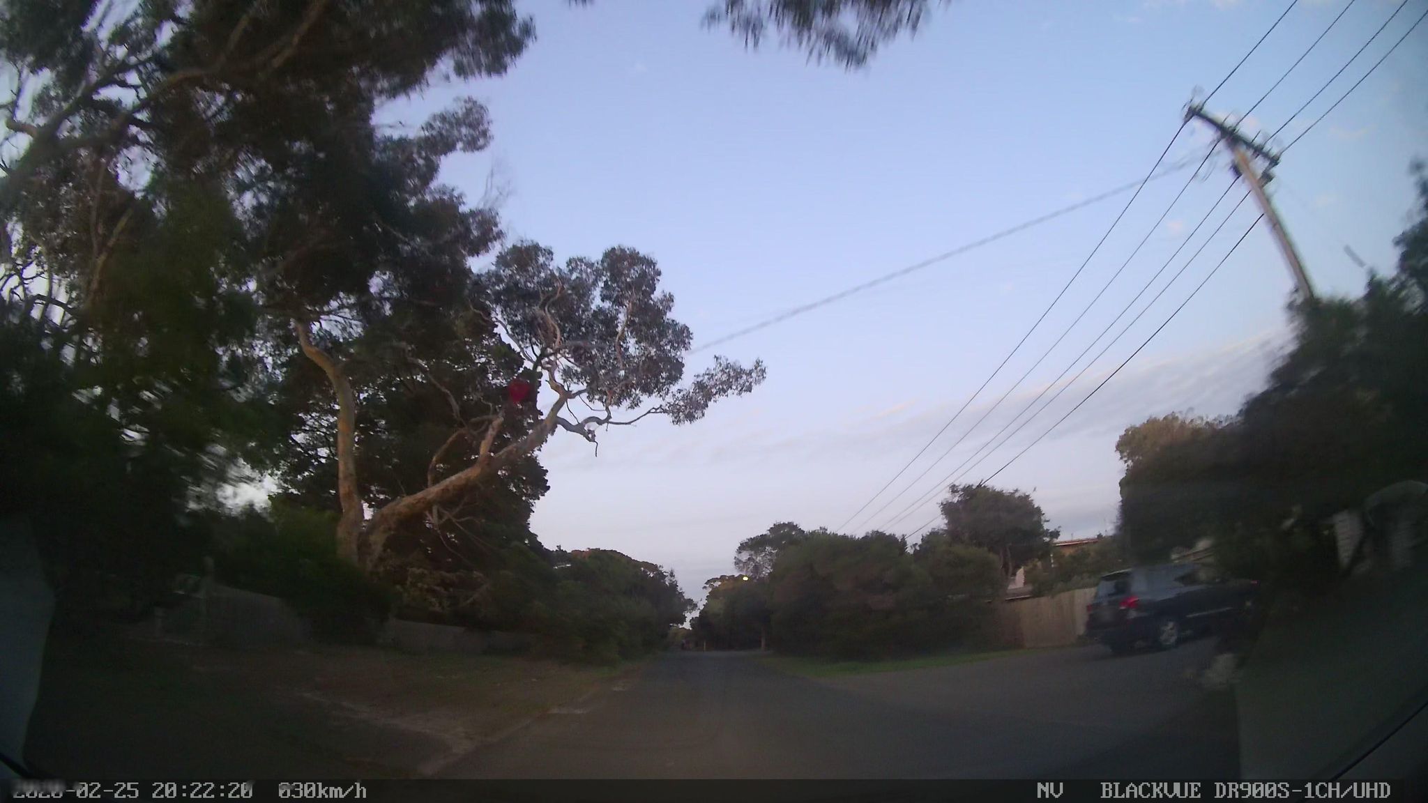 Street view of Point Lonsdale