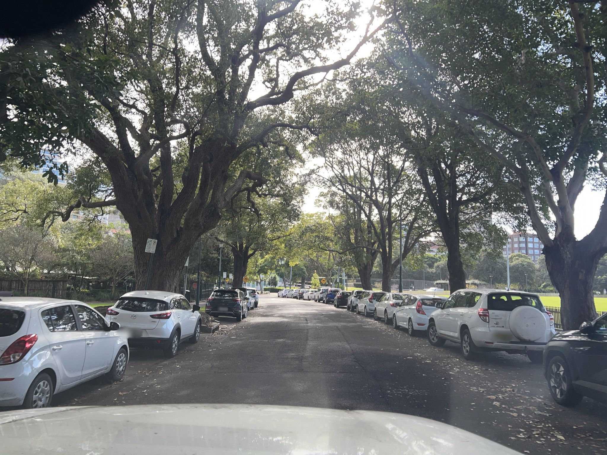 Street view of Rushcutters Bay