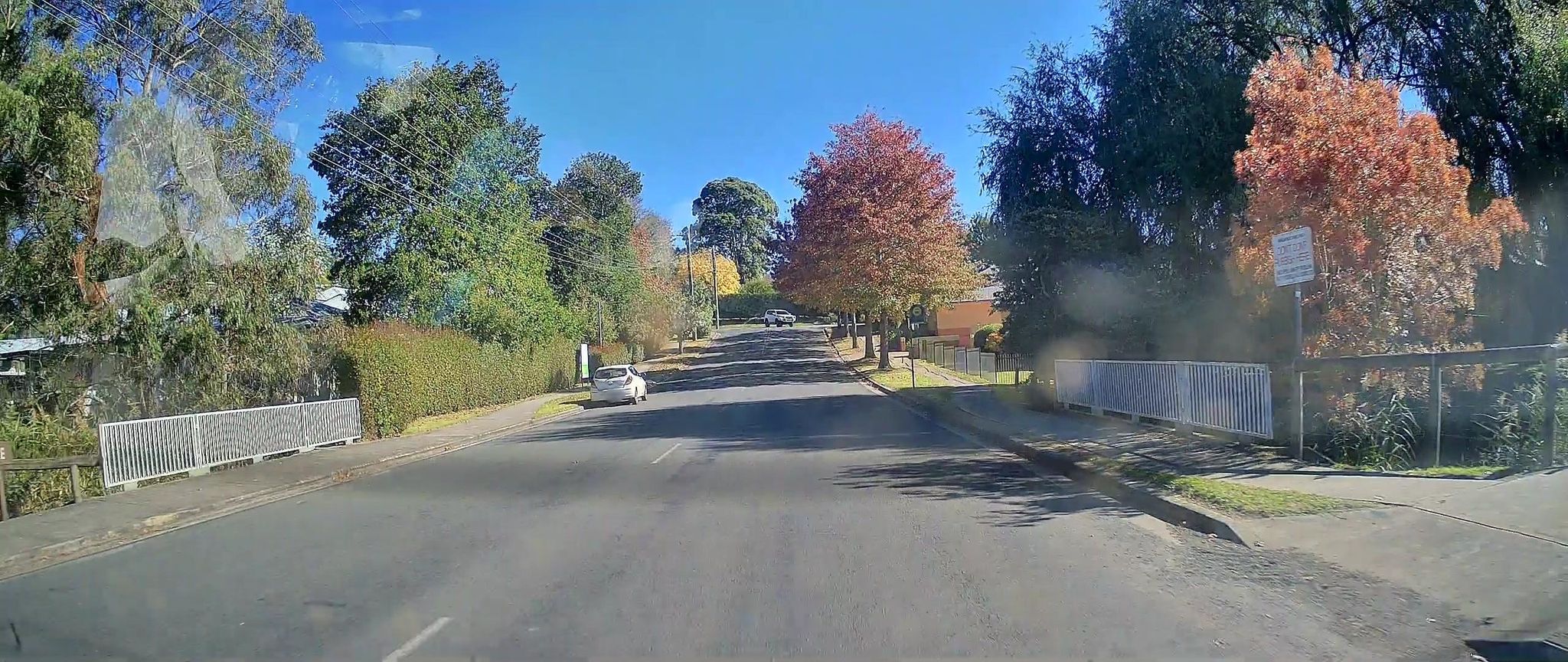 Street view of Moss Vale