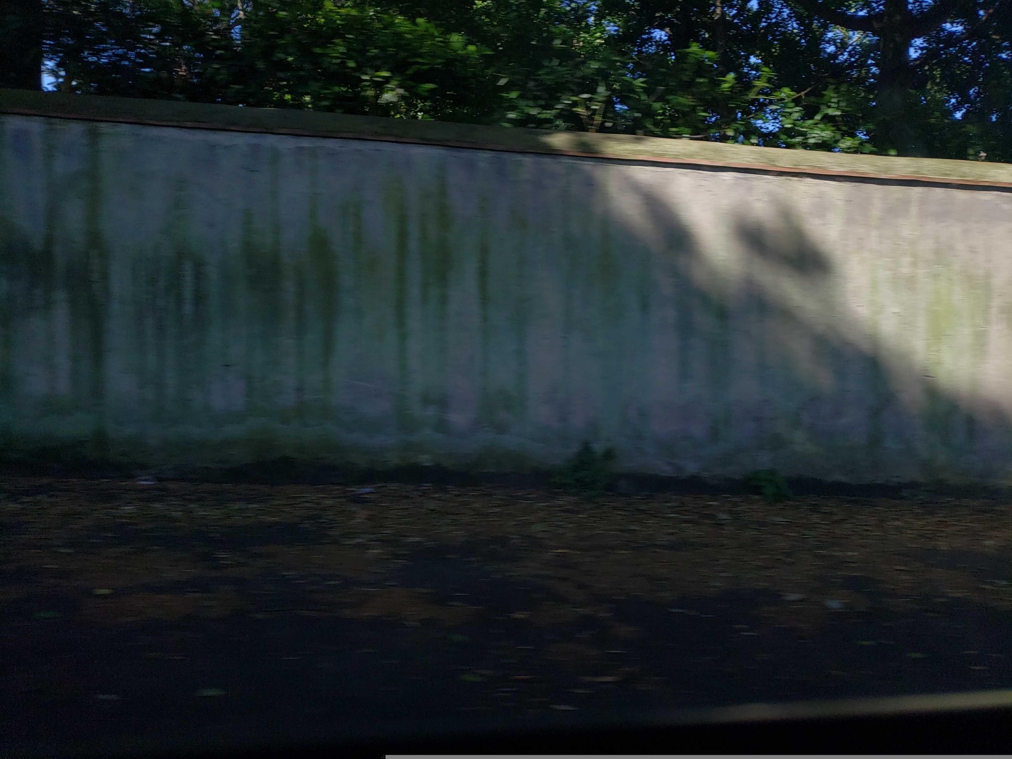 Street view of San Saba