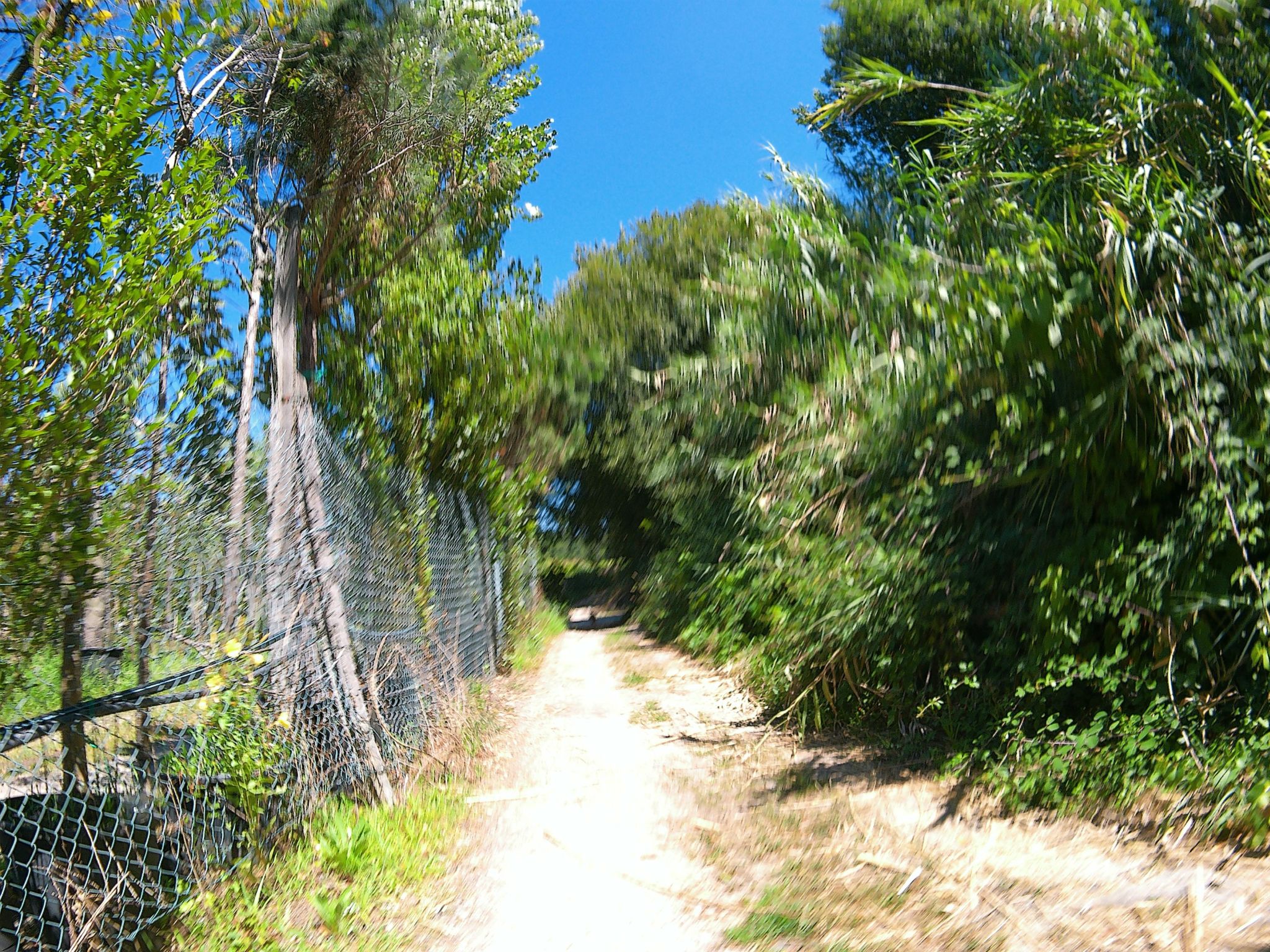 Street view of Darque