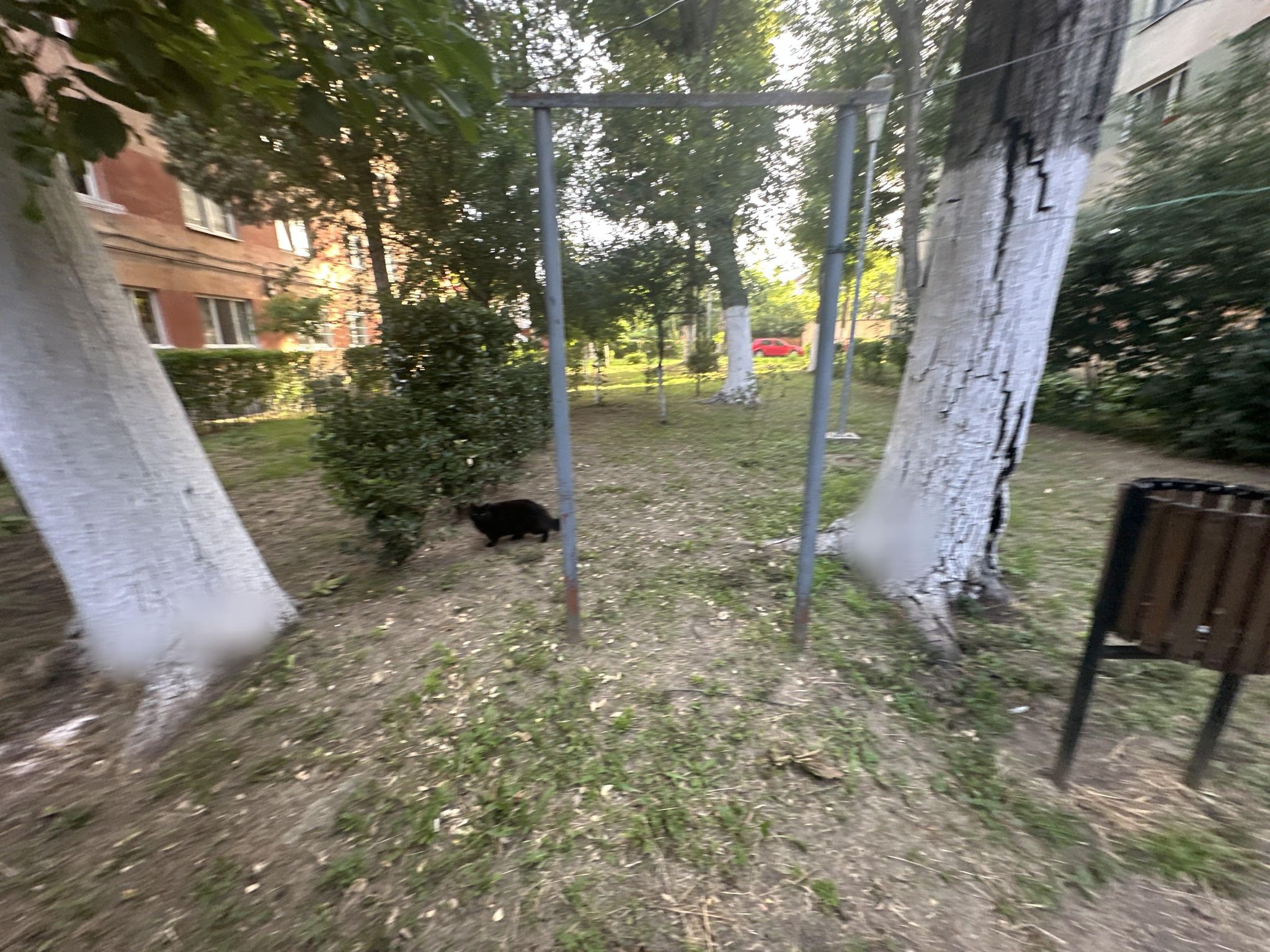 Street view of Arad
