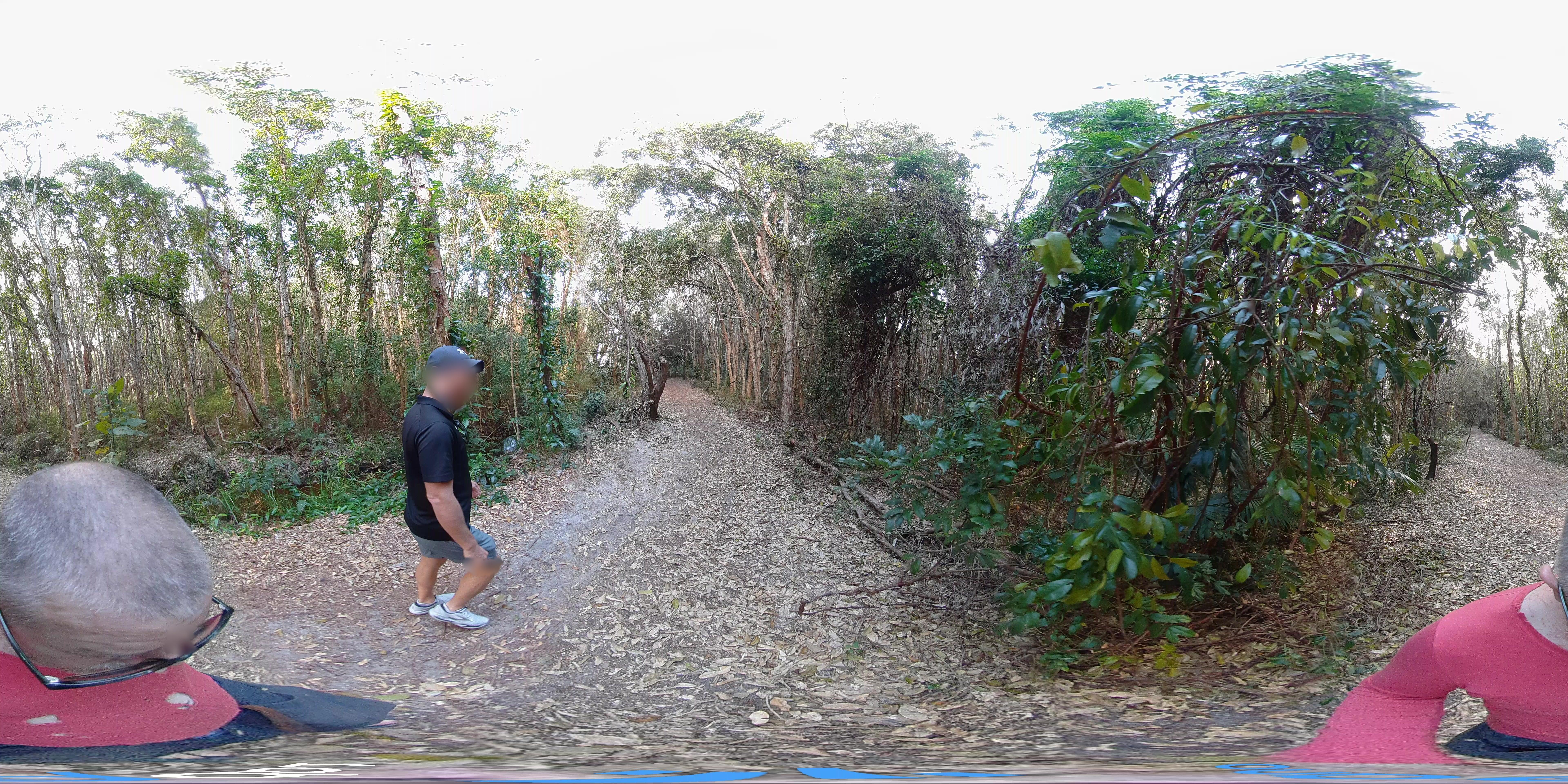 Street view of Yaroomba