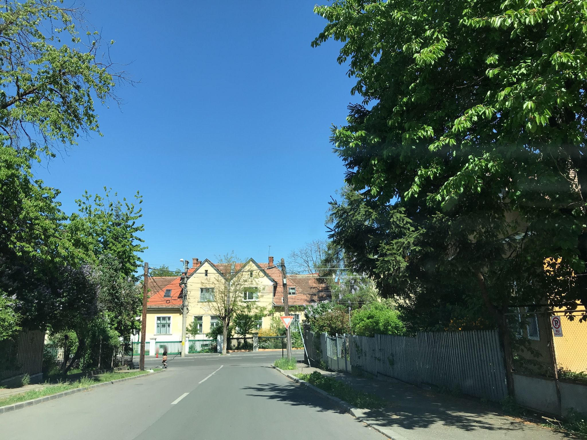 Street view of Cluj-Napoca