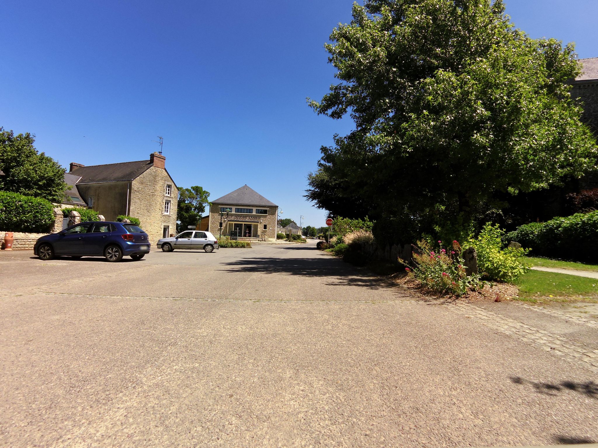 Street view of Pluherlin
