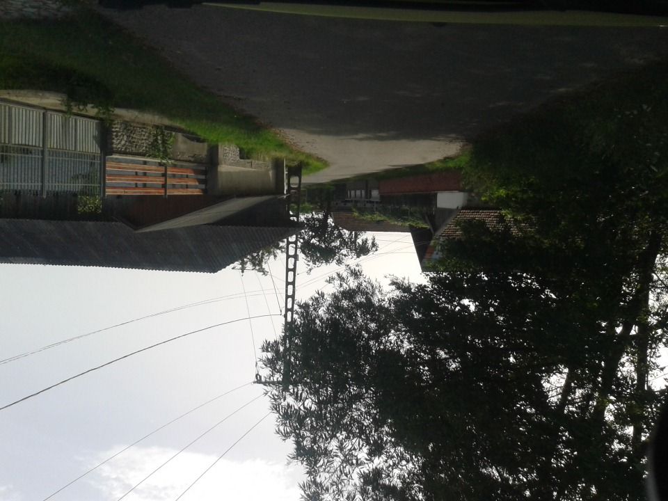 Street view of Baia de Fier