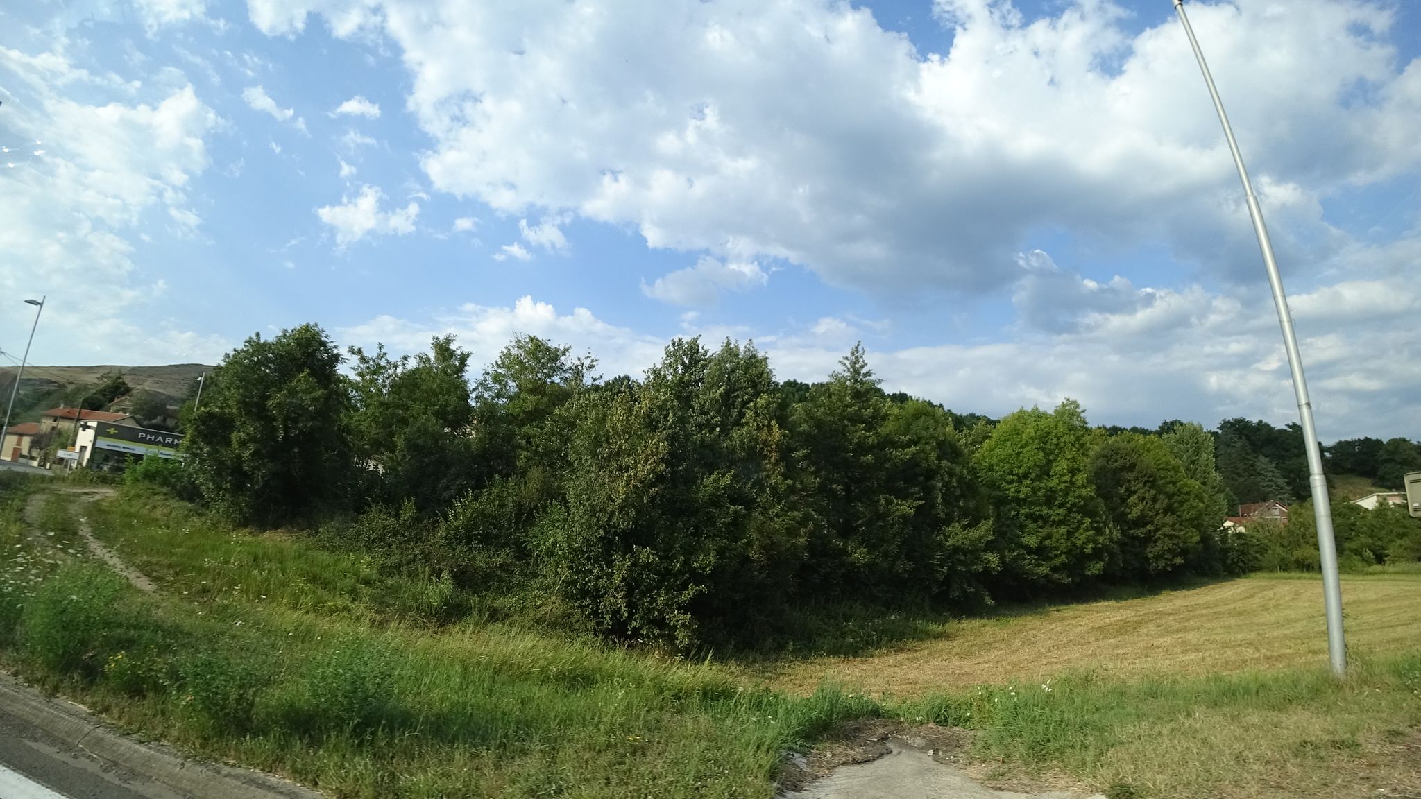 Street view of Firmi