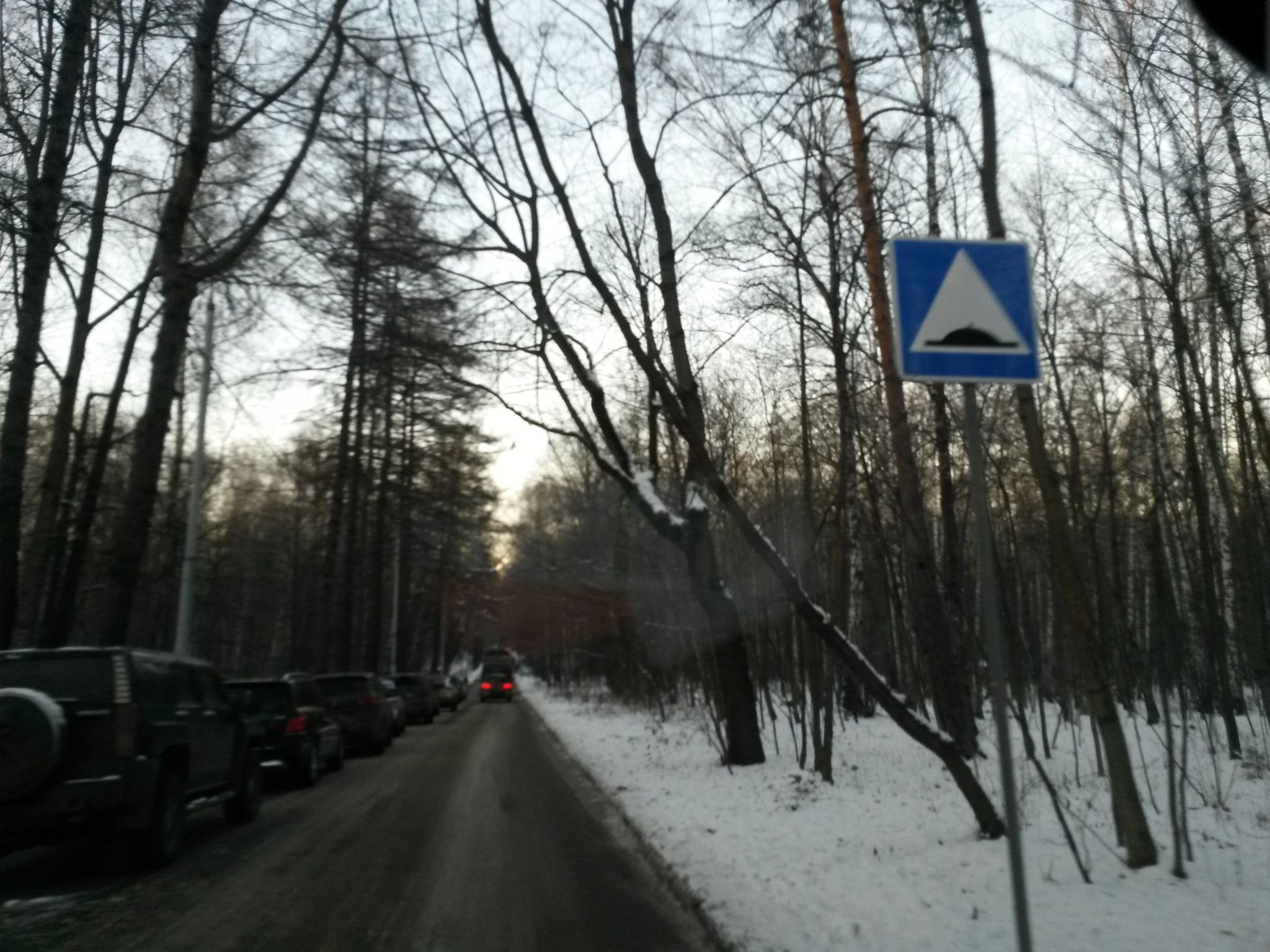 Street view of Sokol’niki