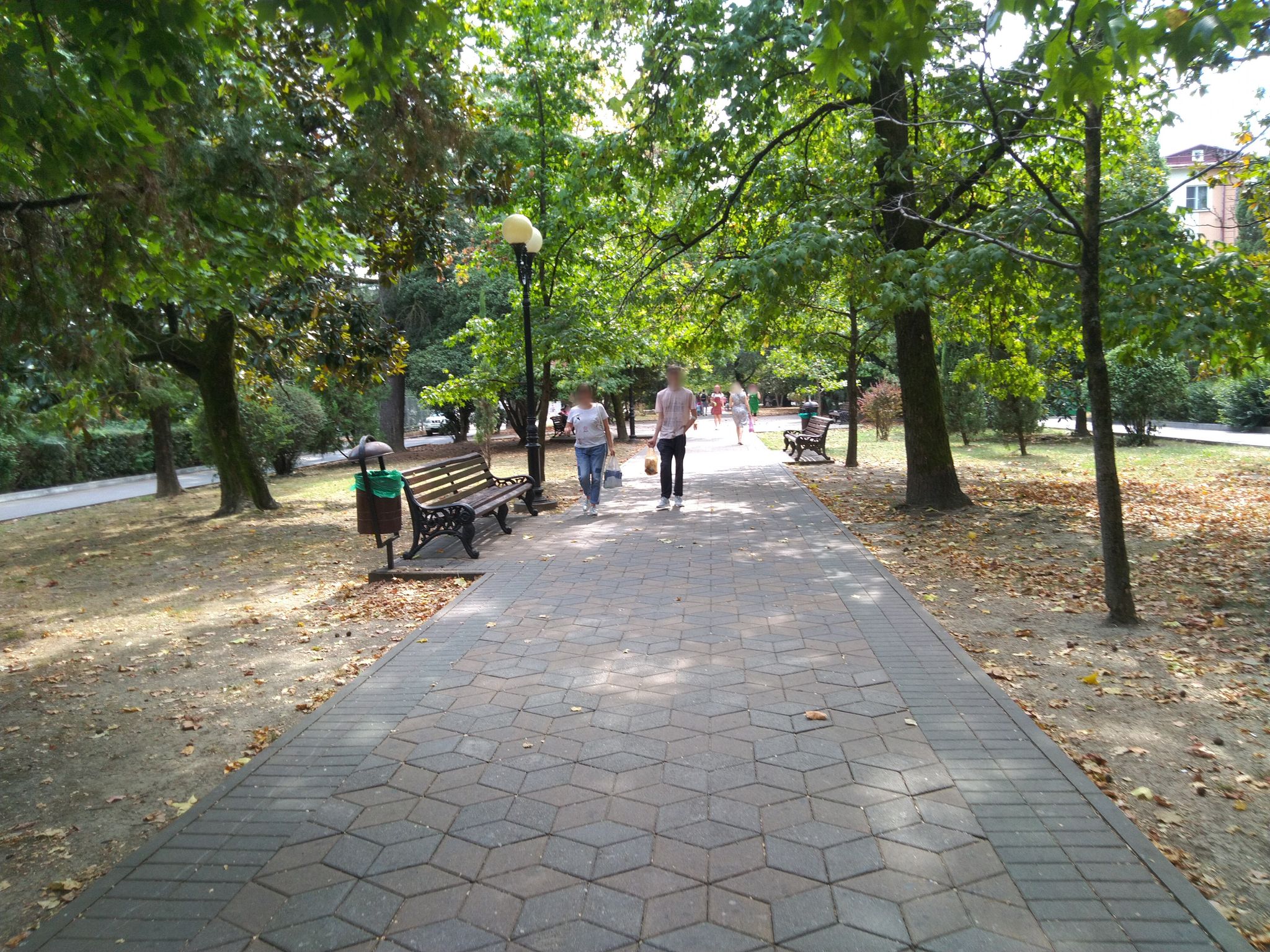 Street view of Sochi