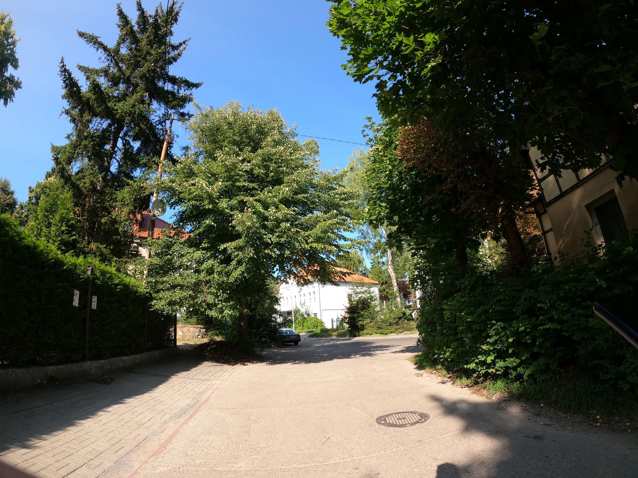 Street view of Svetlogorsk