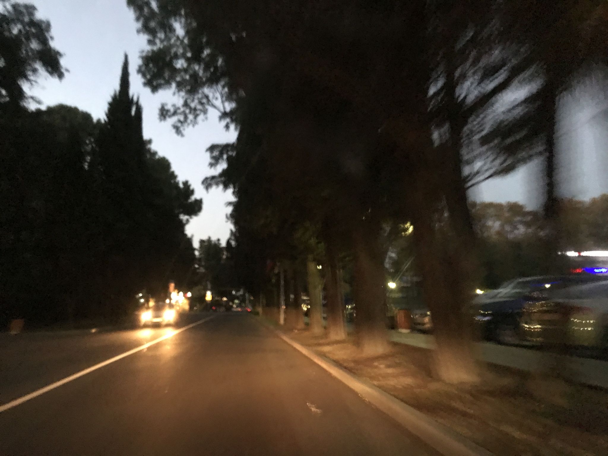 Street view of Adler