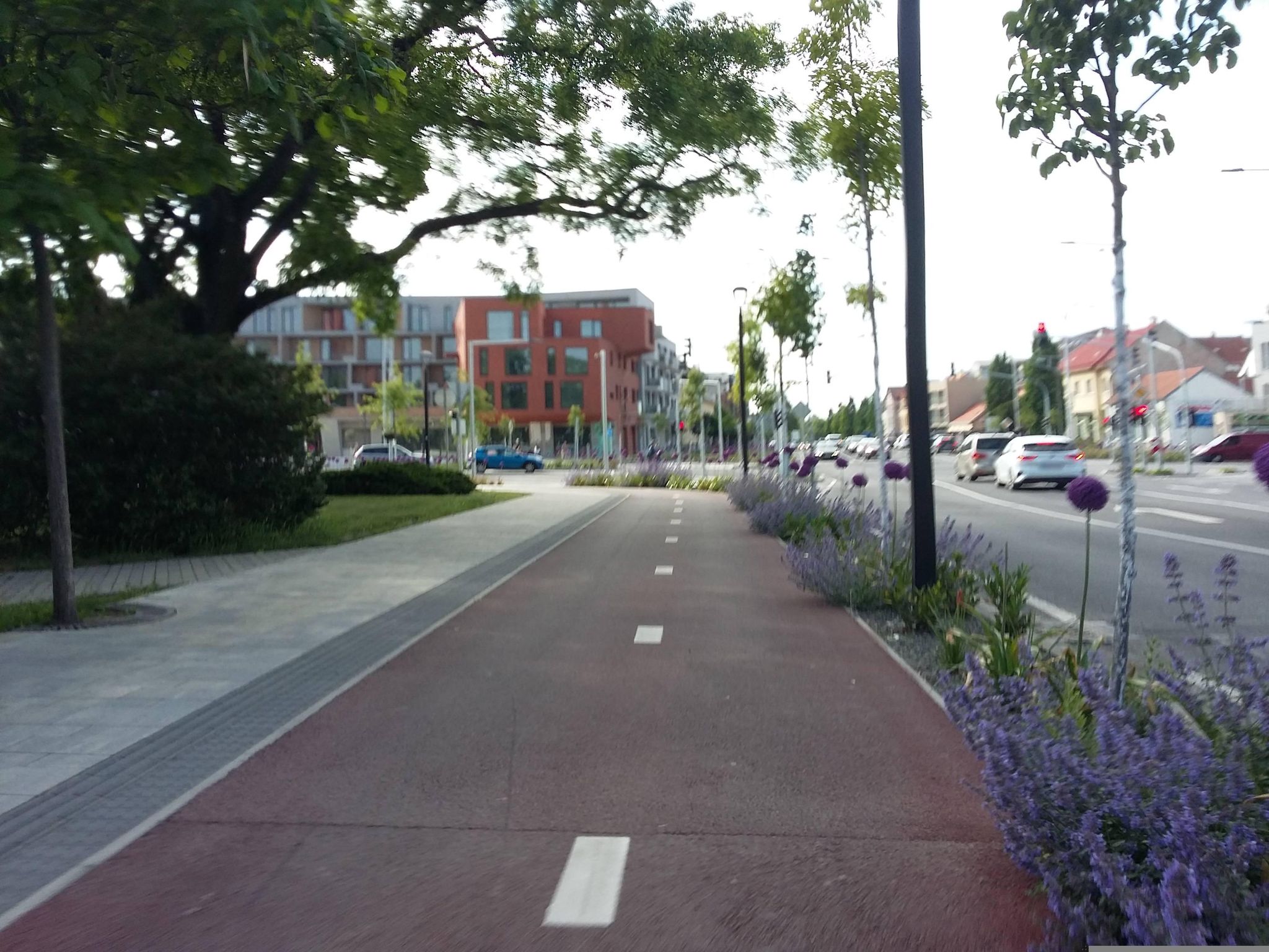 Street view of Malacky
