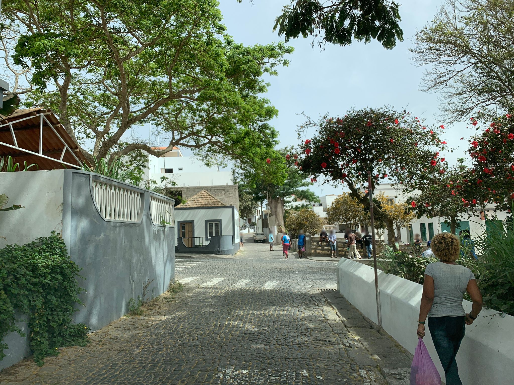 Street view of Nova Sintra