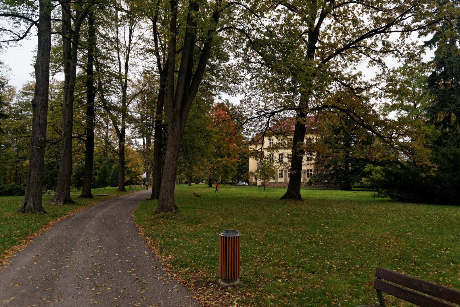 Street view of Rožnov pod Radhoštěm