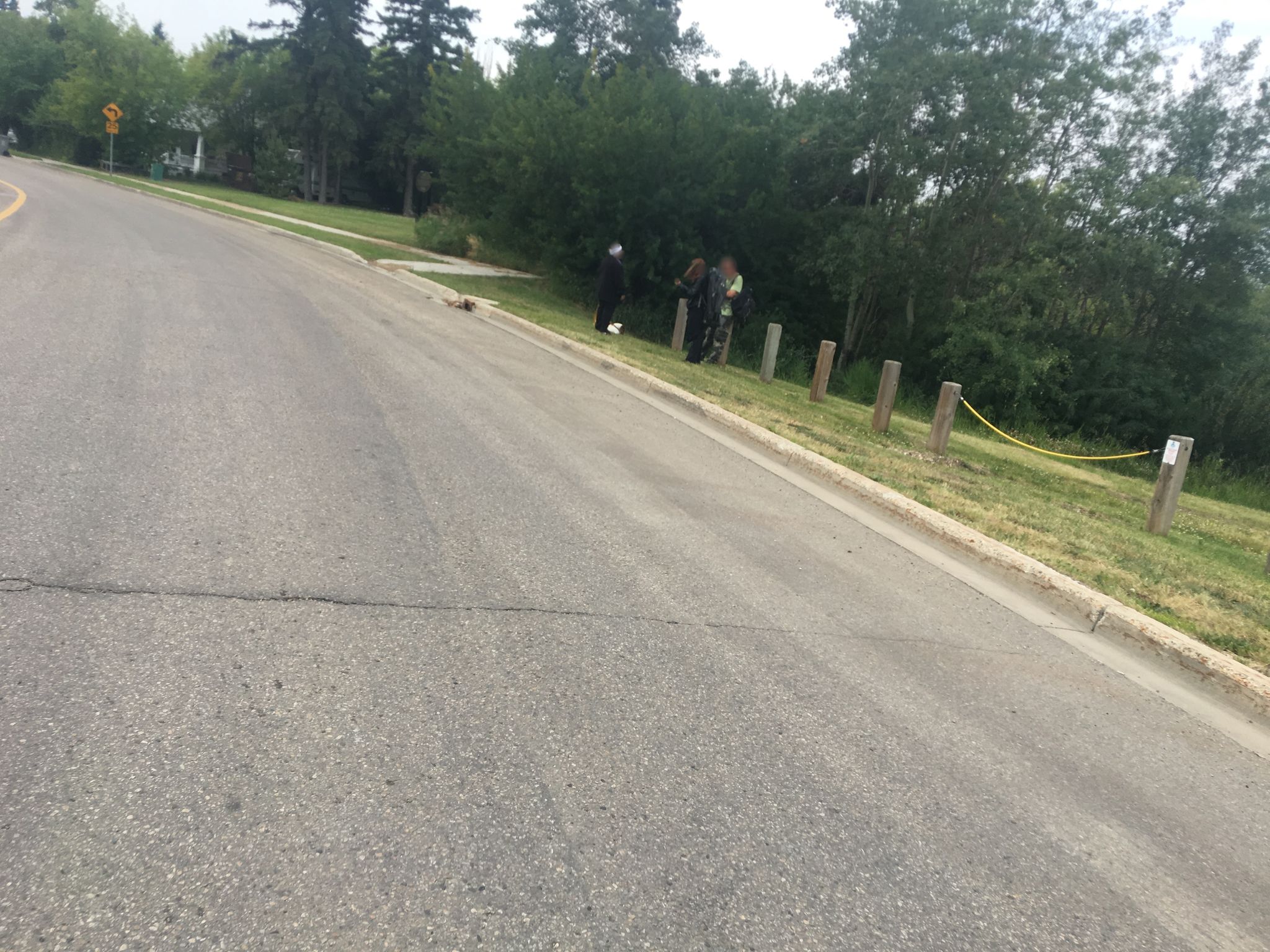 Street view of Grande Prairie