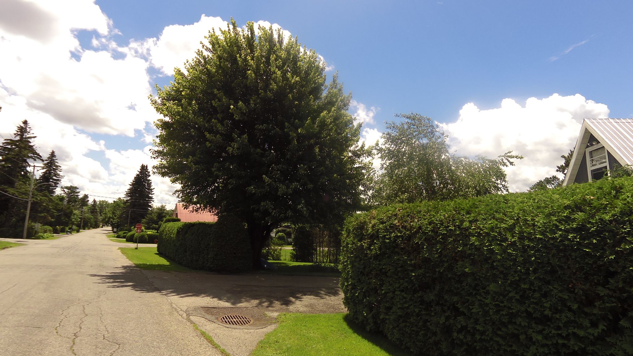Street view of Oka