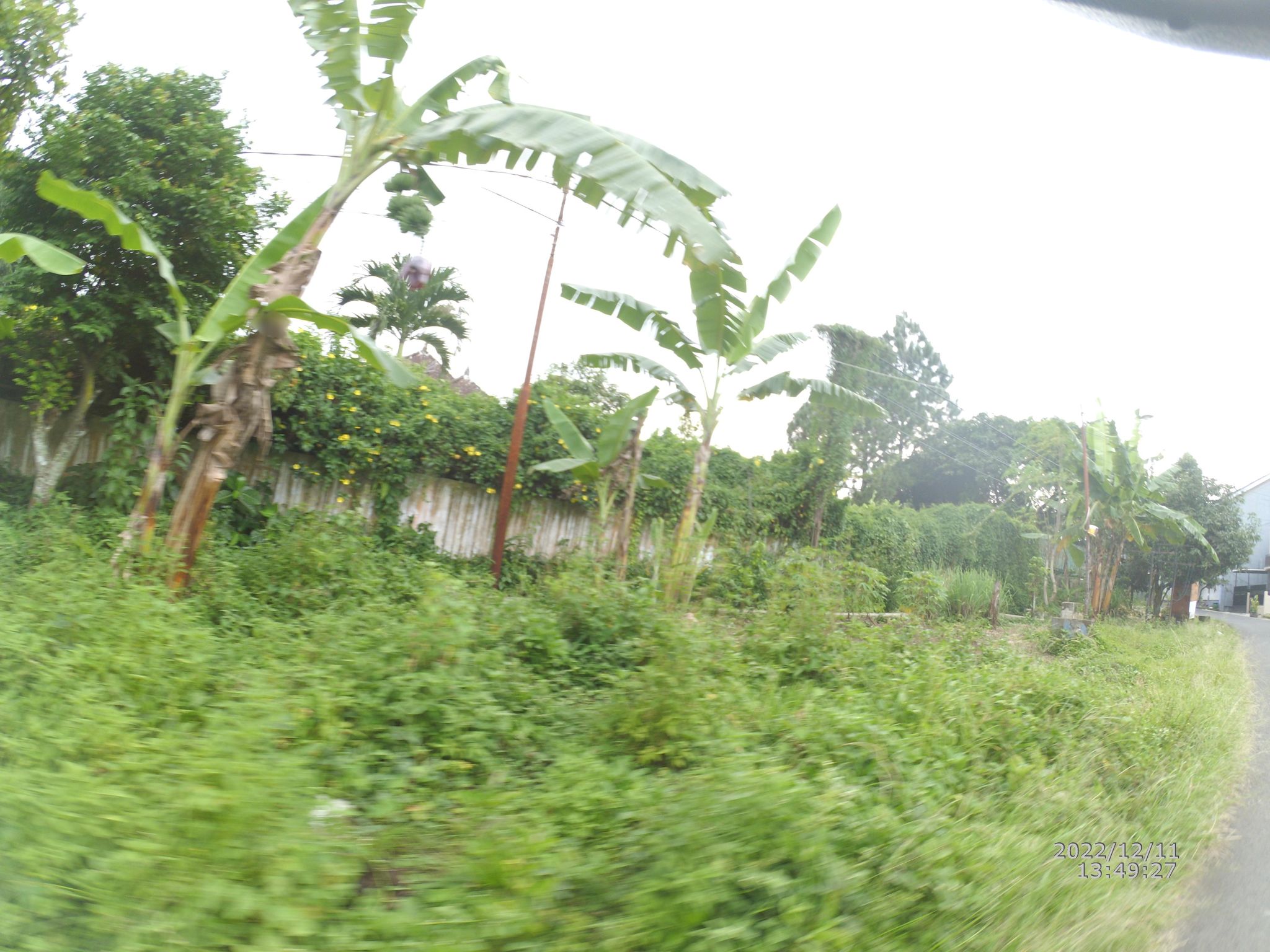 Street view of Lawang