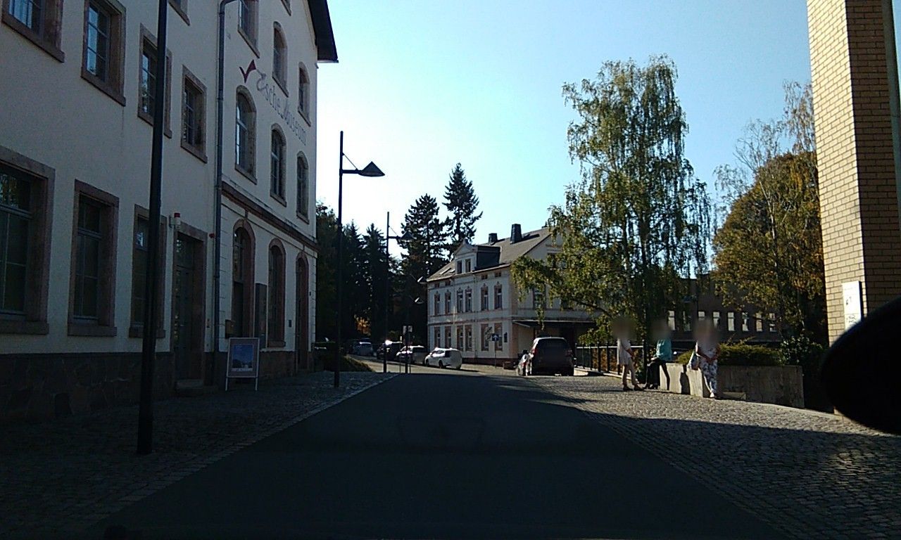 Street view of Limbach-Oberfrohna