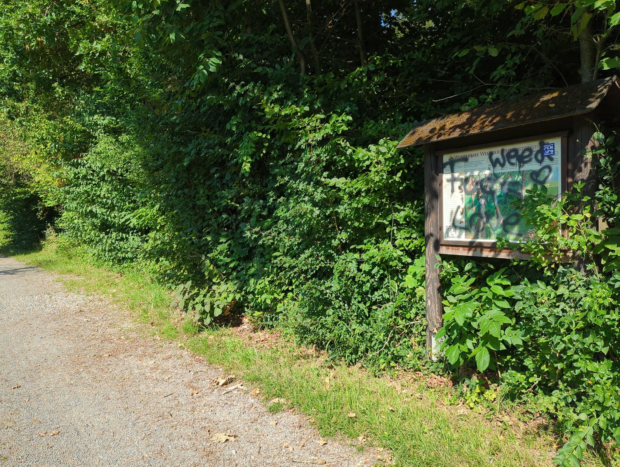 Street view of Uhldingen-Mühlhofen