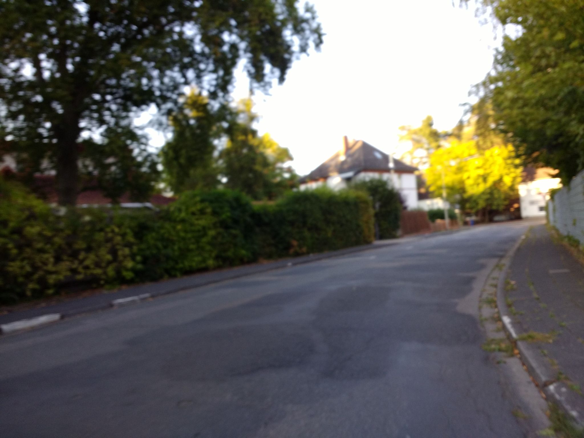 Street view of Gifhorn