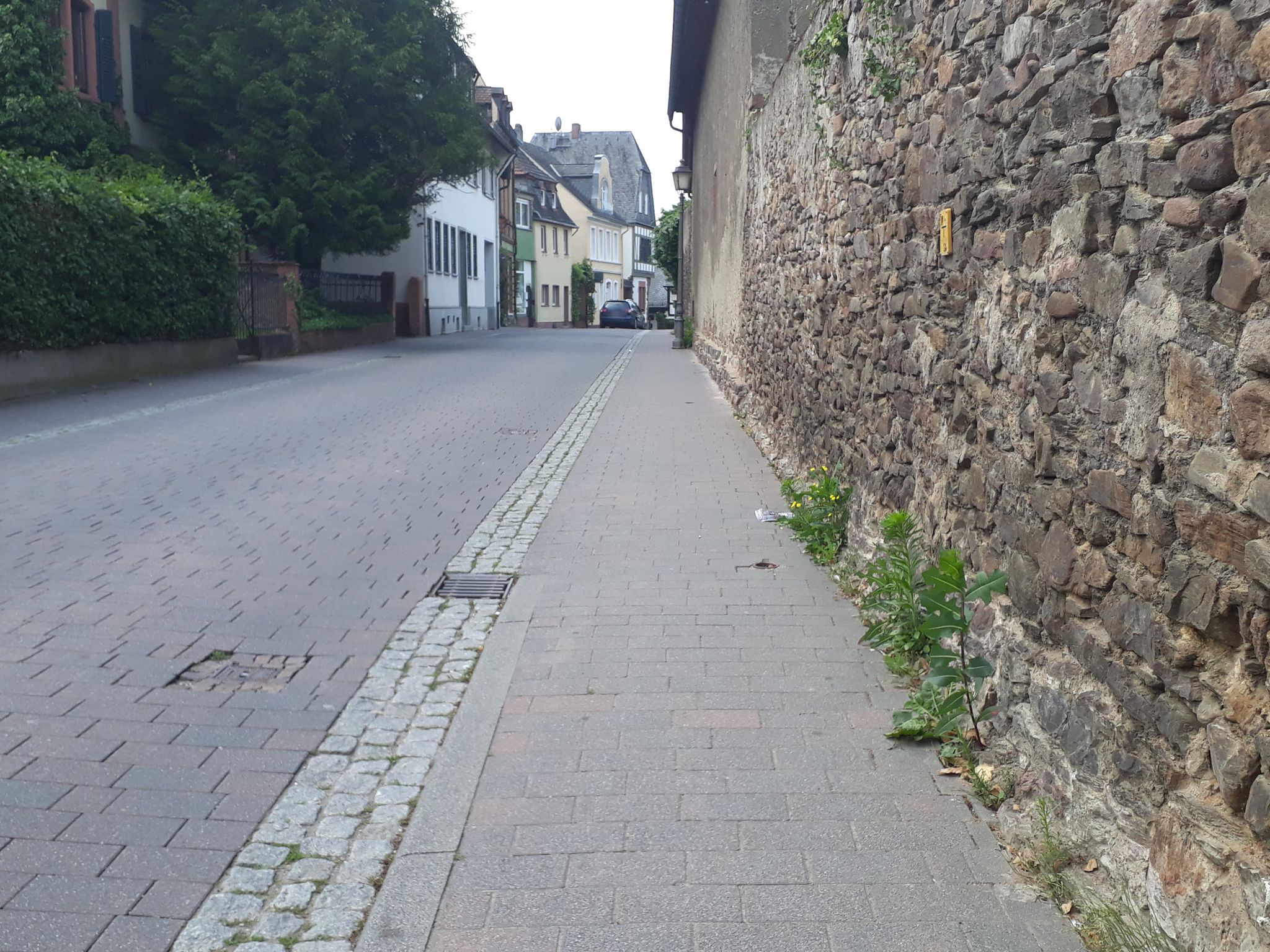 Street view of Geisenheim