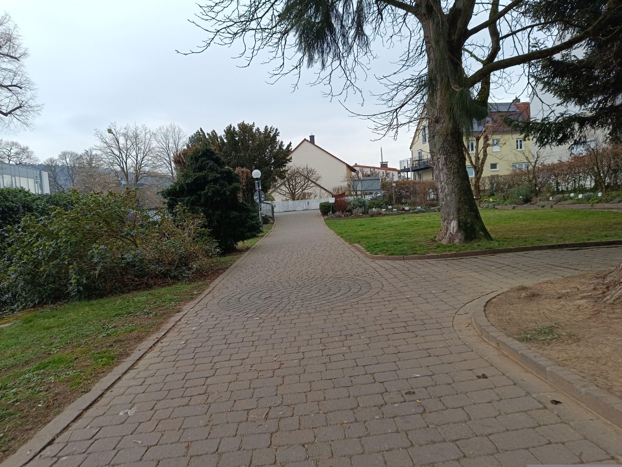 Street view of Bad König