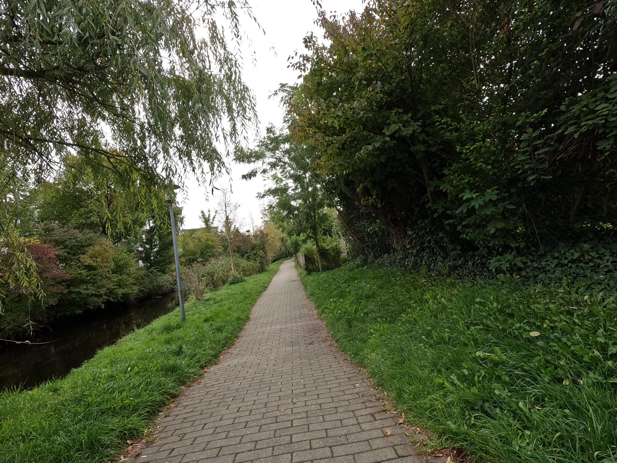 Street view of Bad Wurzach