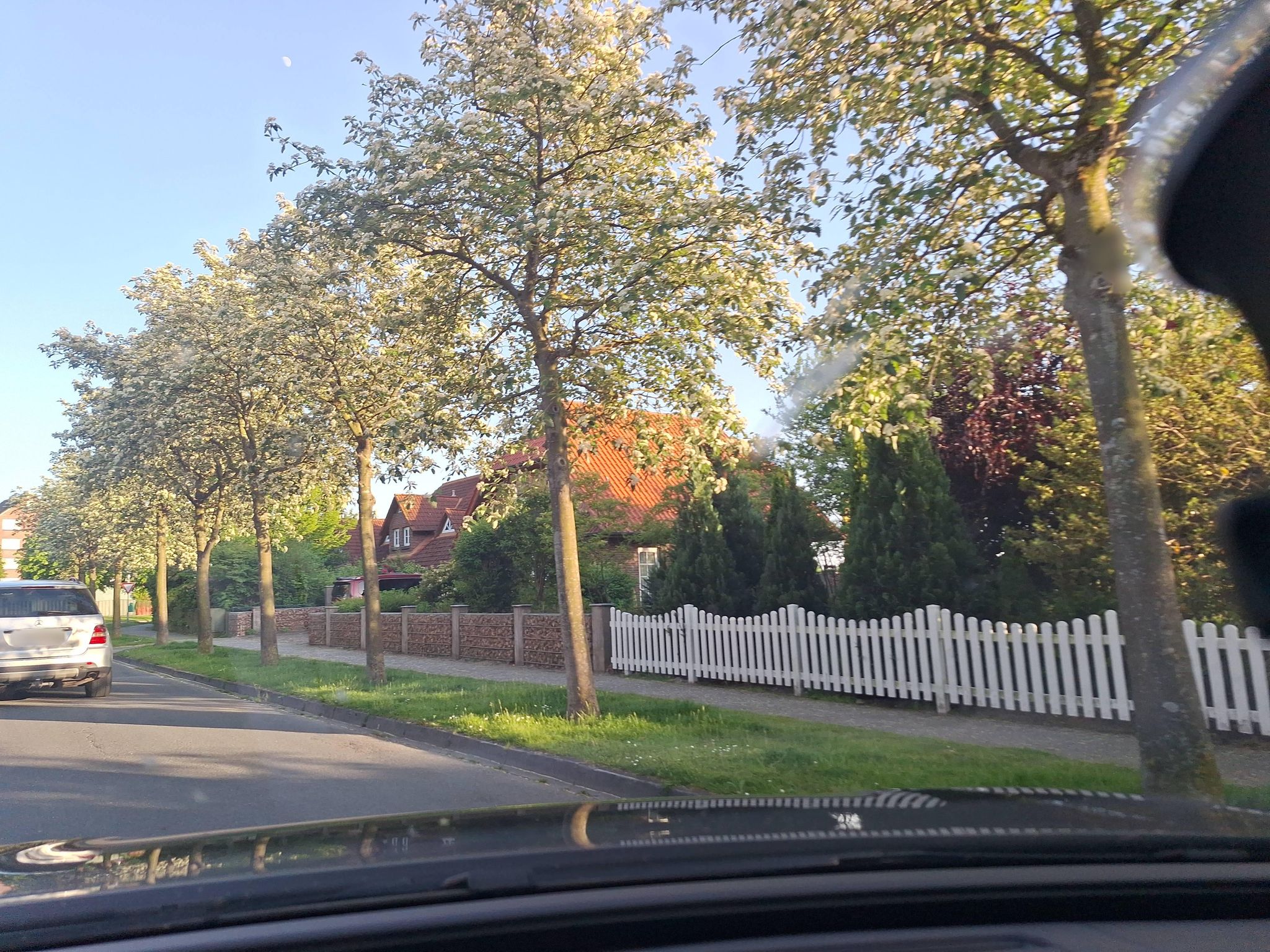 Street view of Schillig
