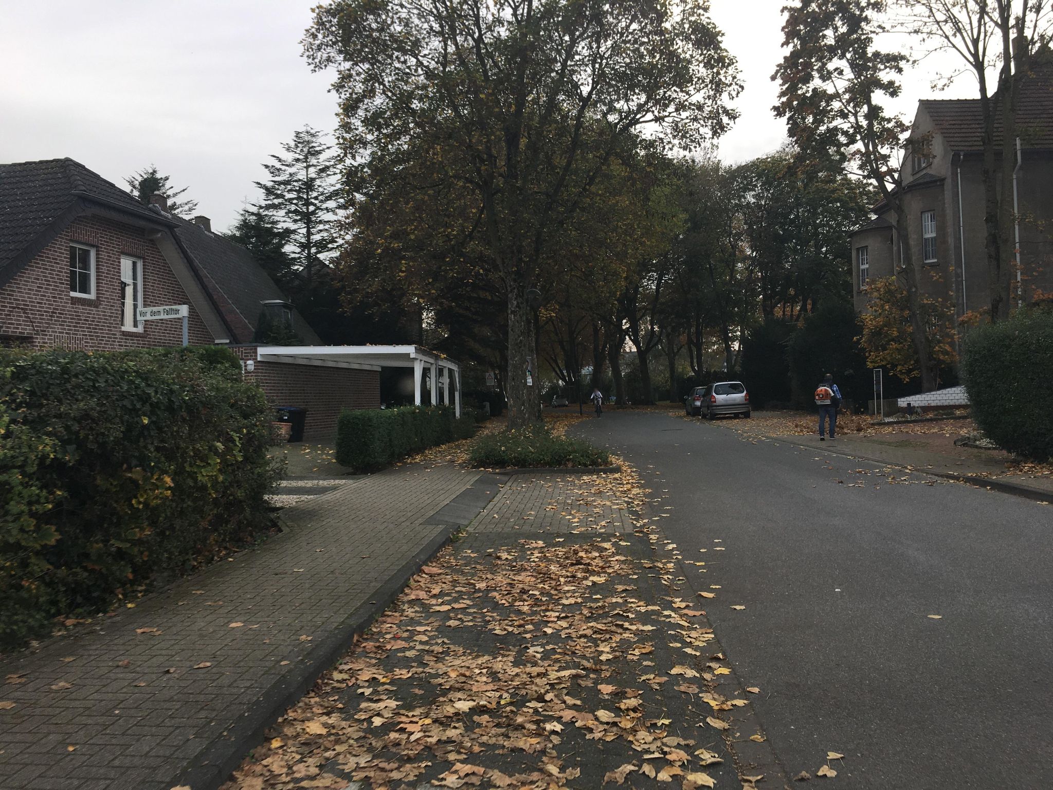 Street view of Rees