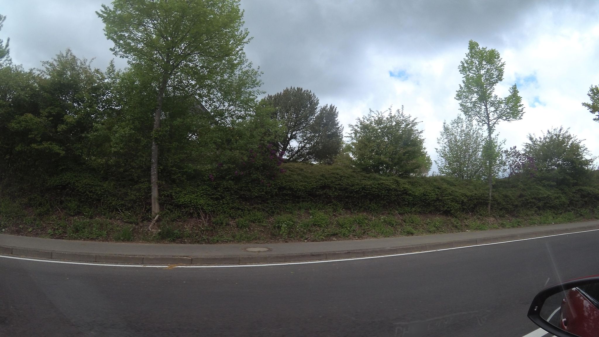 Street view of Kelberg