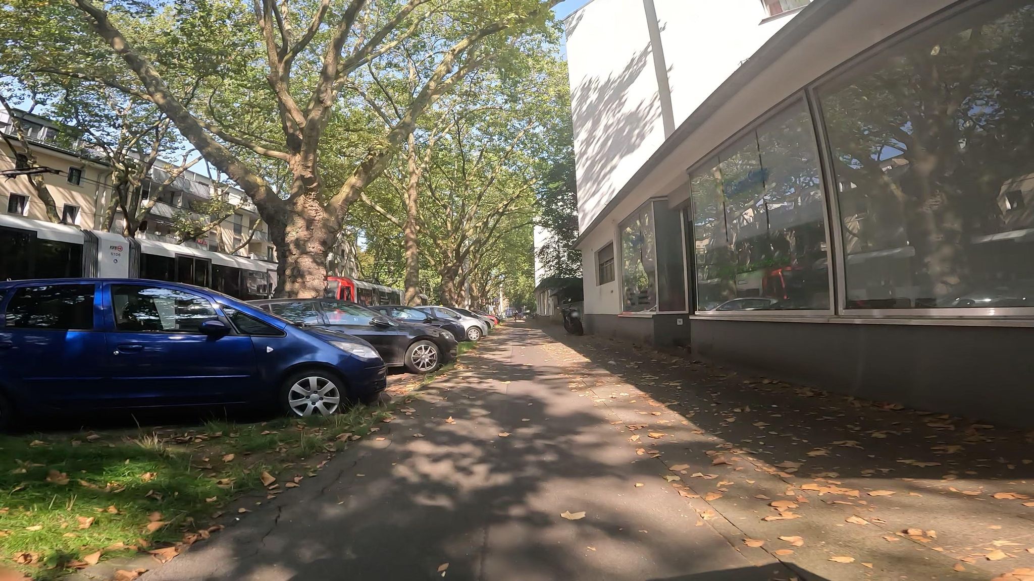 Street view of Buchforst
