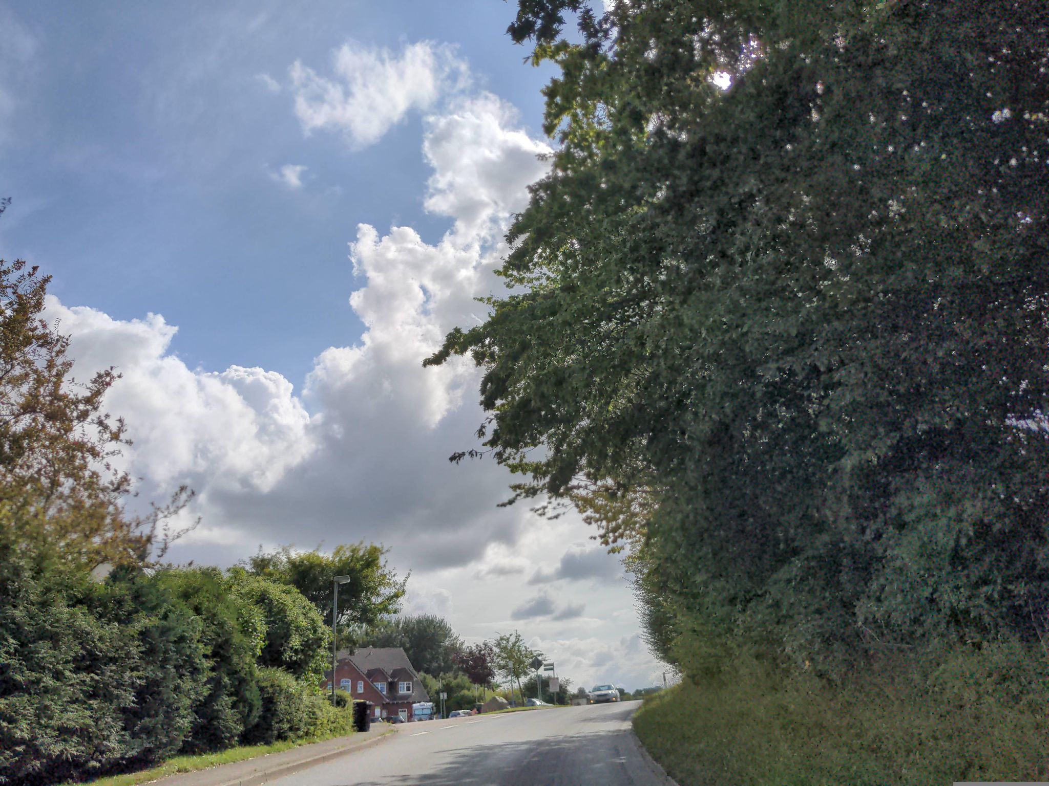 Street view of Wangels