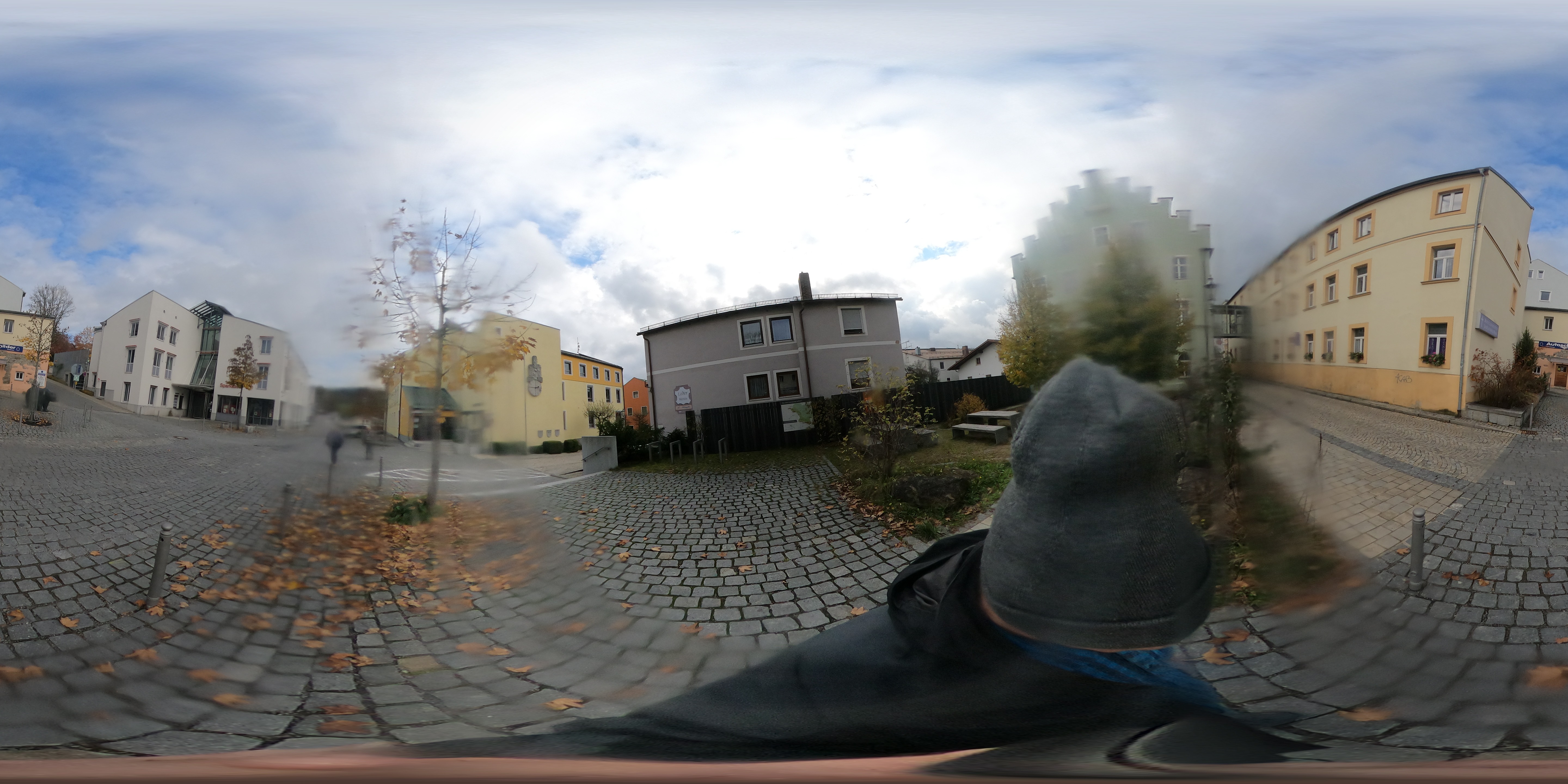 Street view of Grafenau