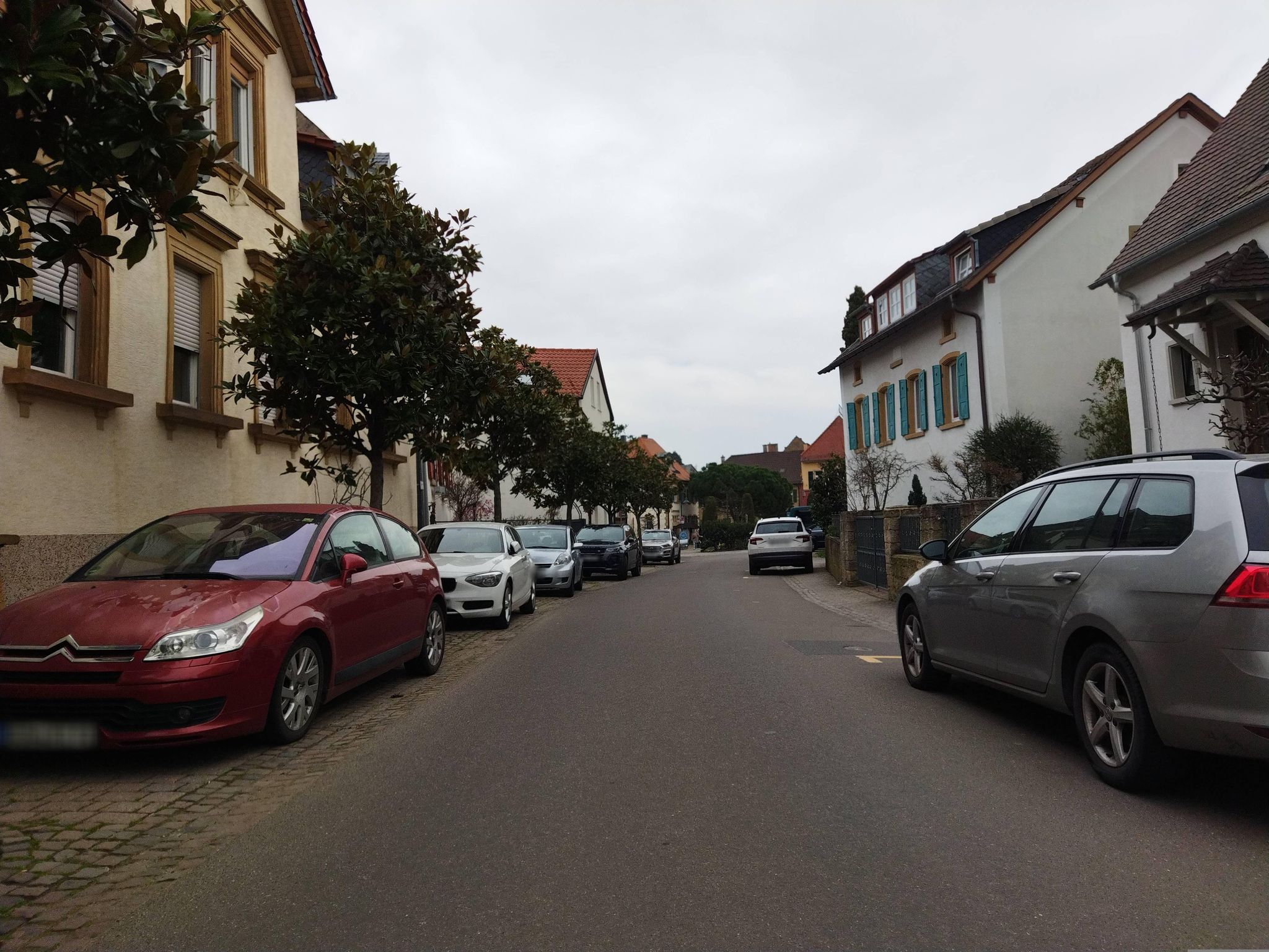 Street view of Deidesheim
