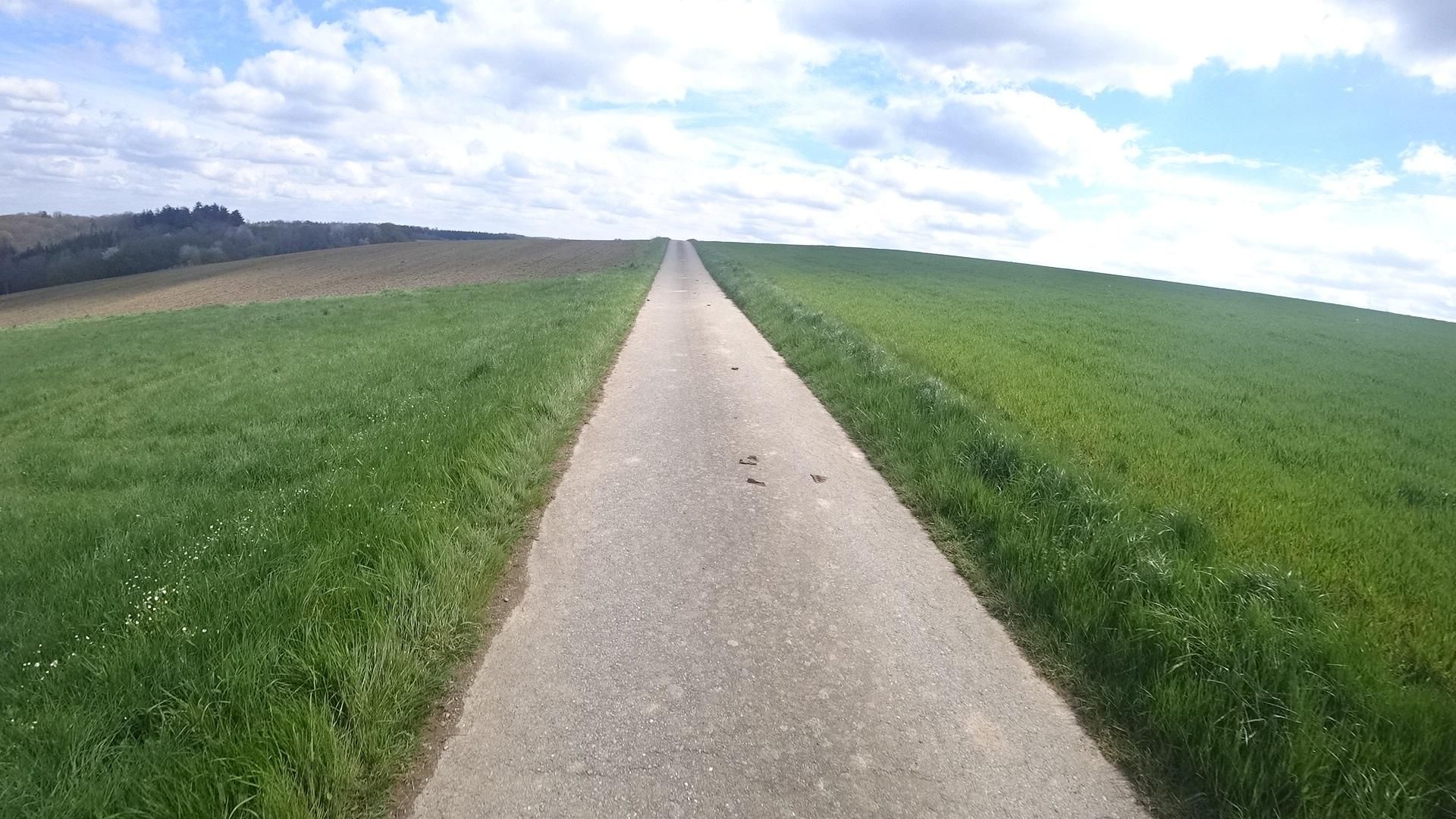 Street view of Dommershausen