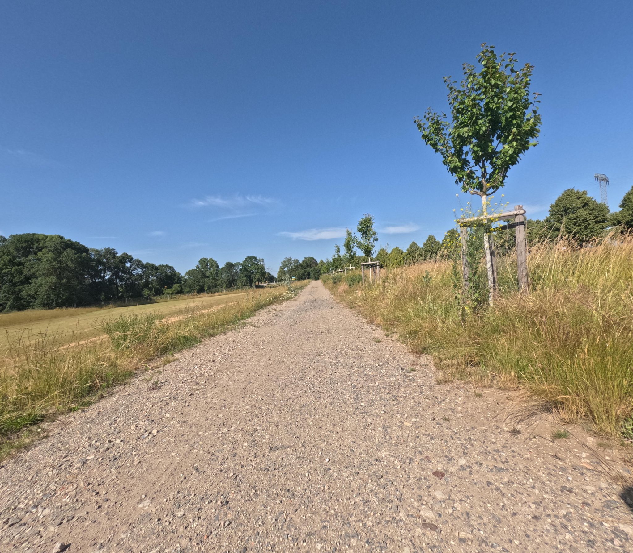 Street view of Rackwitz