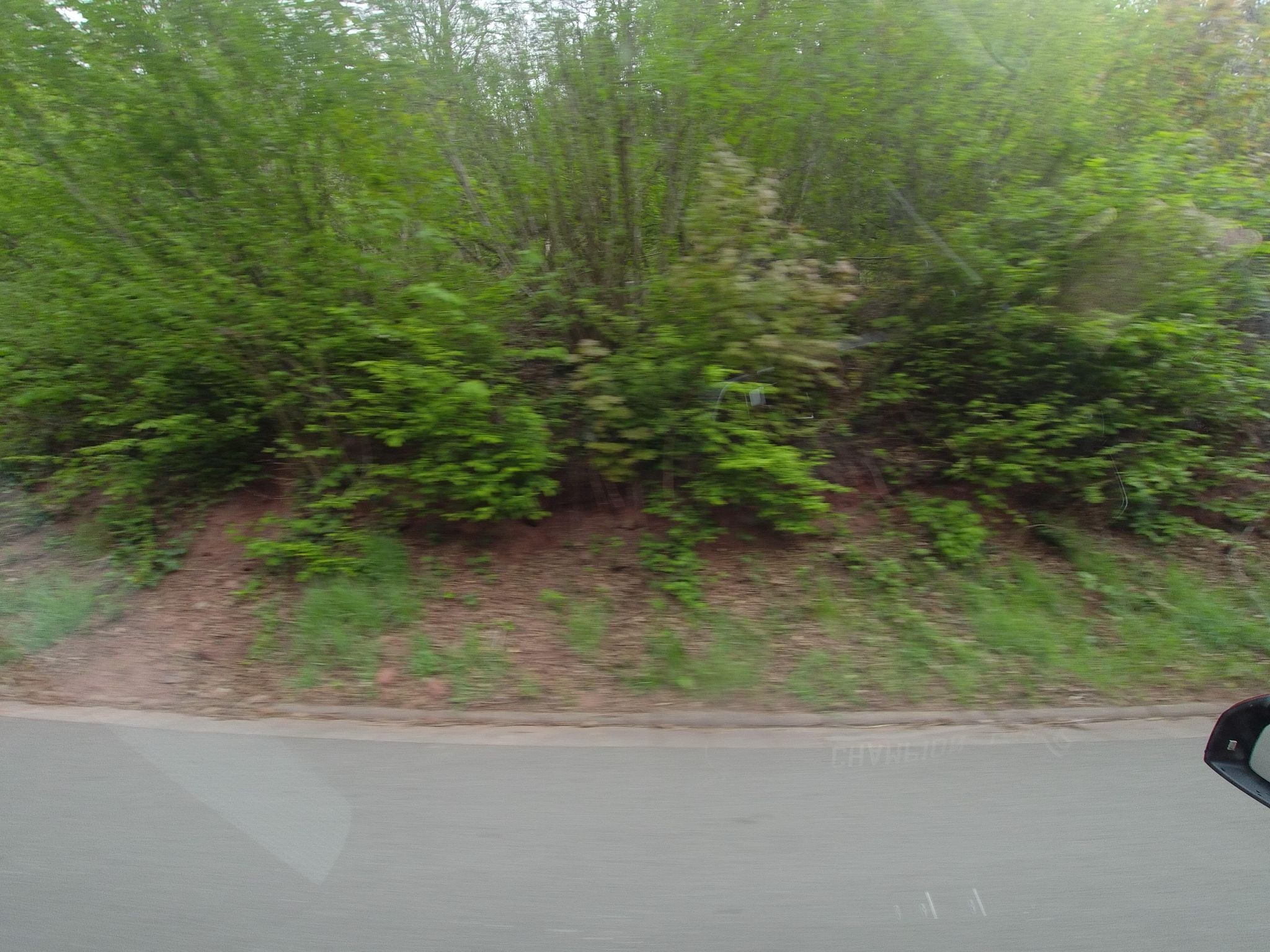 Street view of Wilgartswiesen