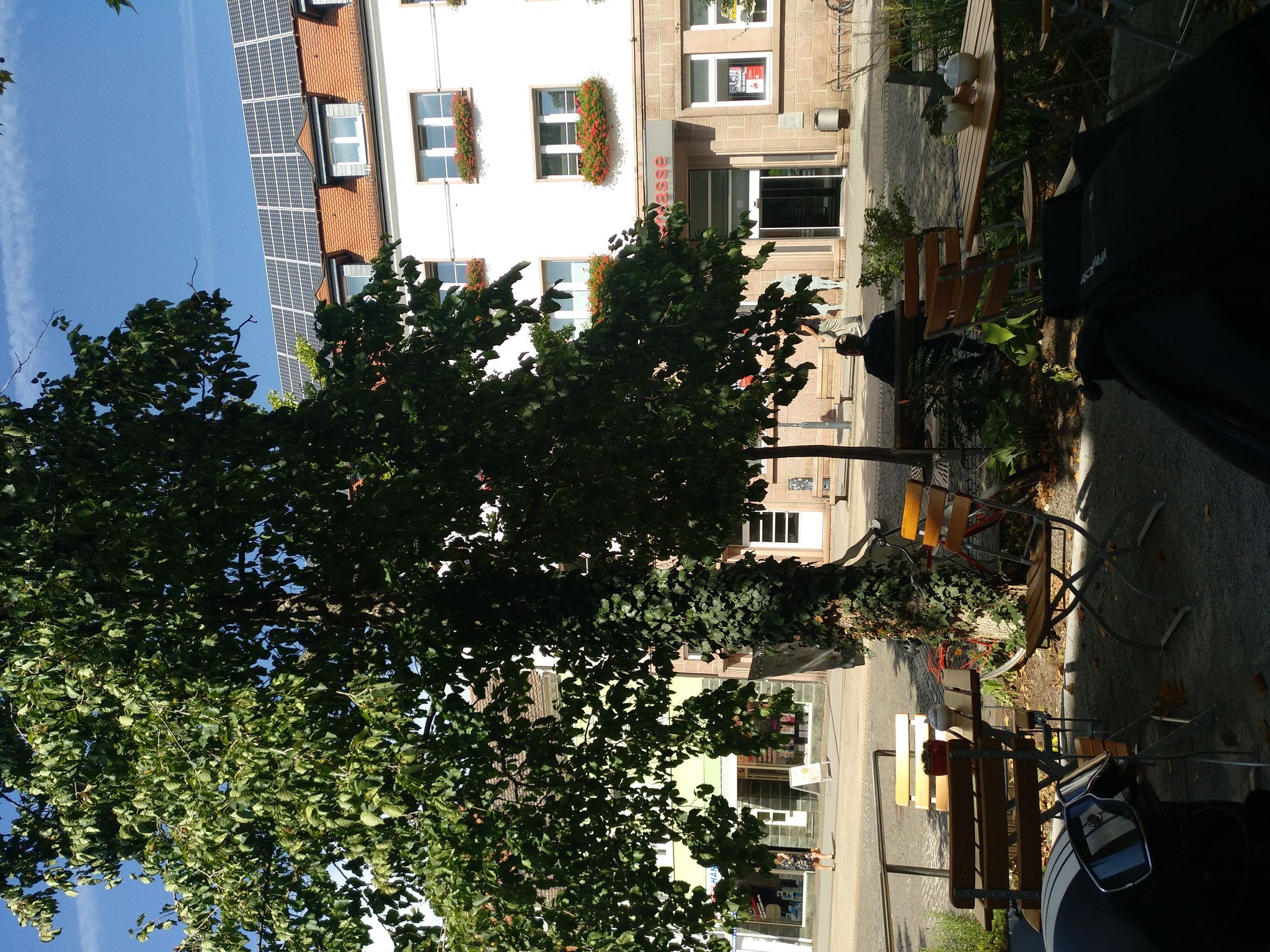 Street view of Burg bei Magdeburg