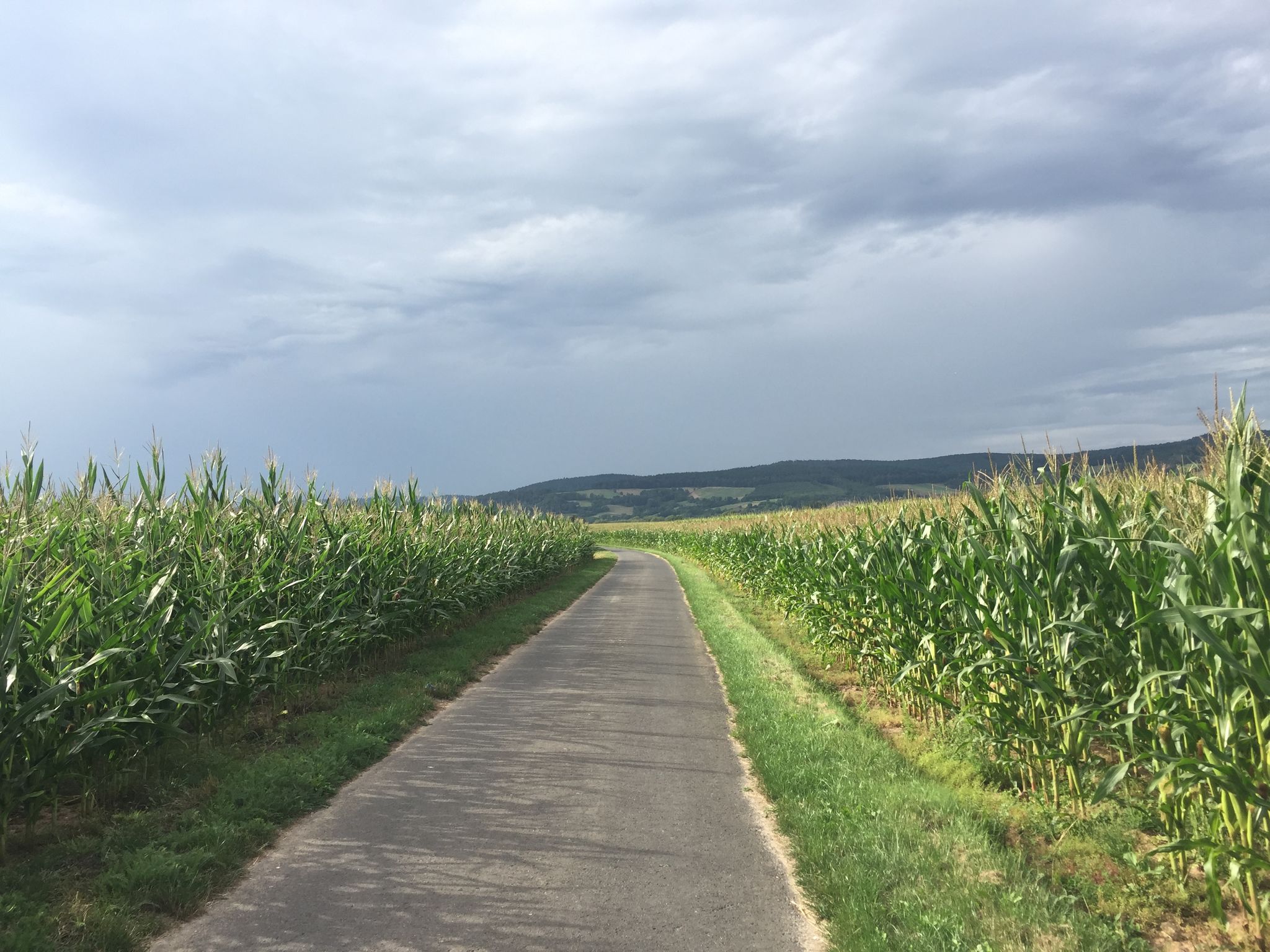 Street view of Alheim