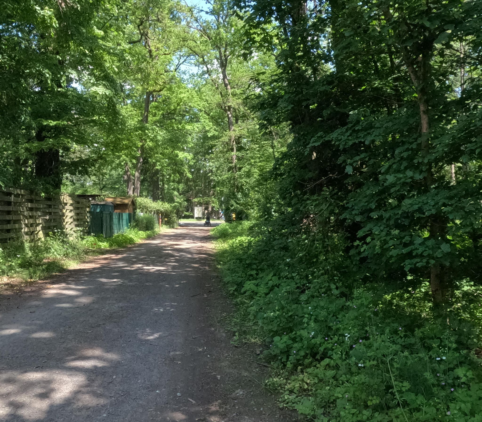 Street view of Zeppelinheim