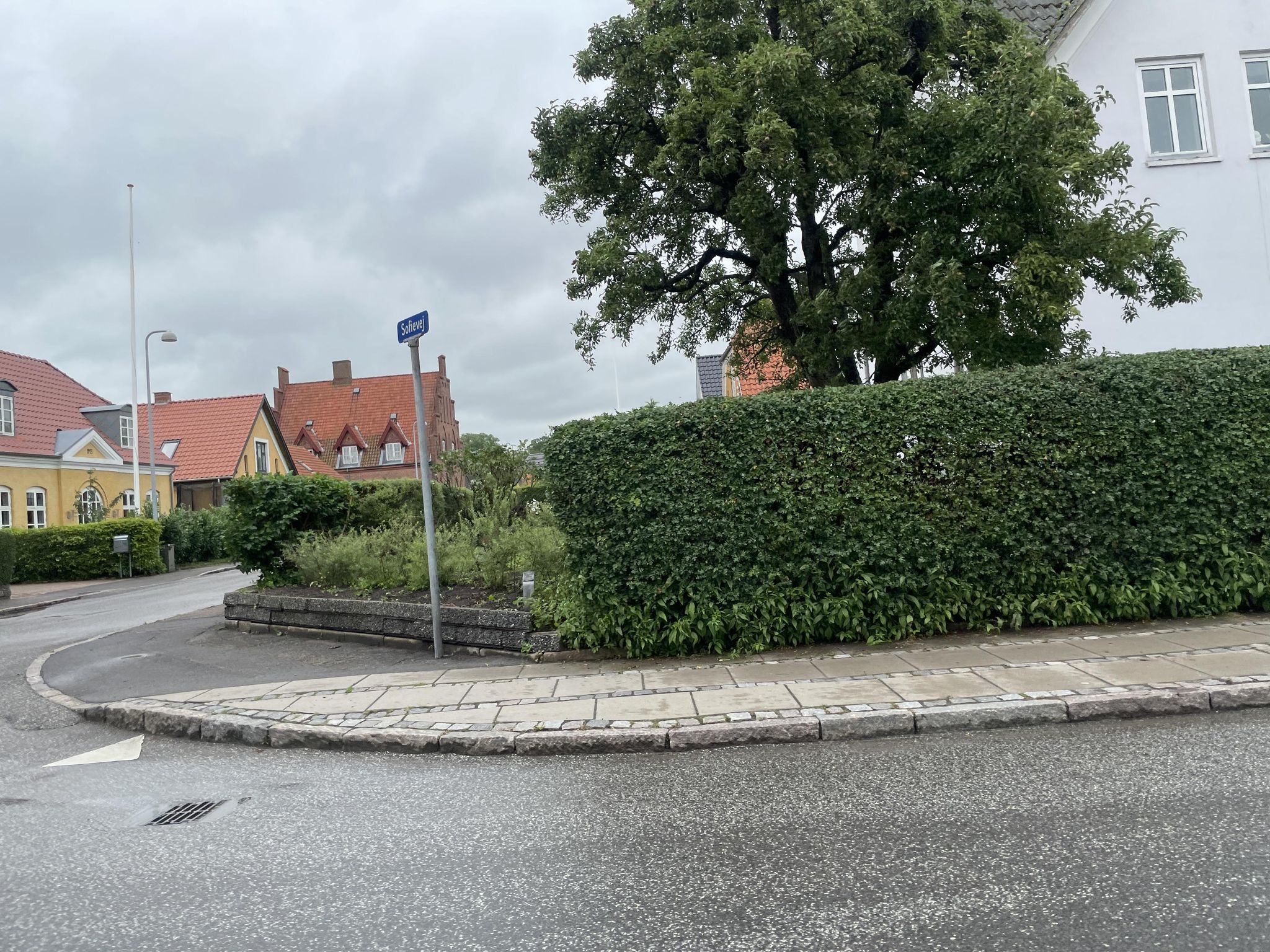 Street view of Stege