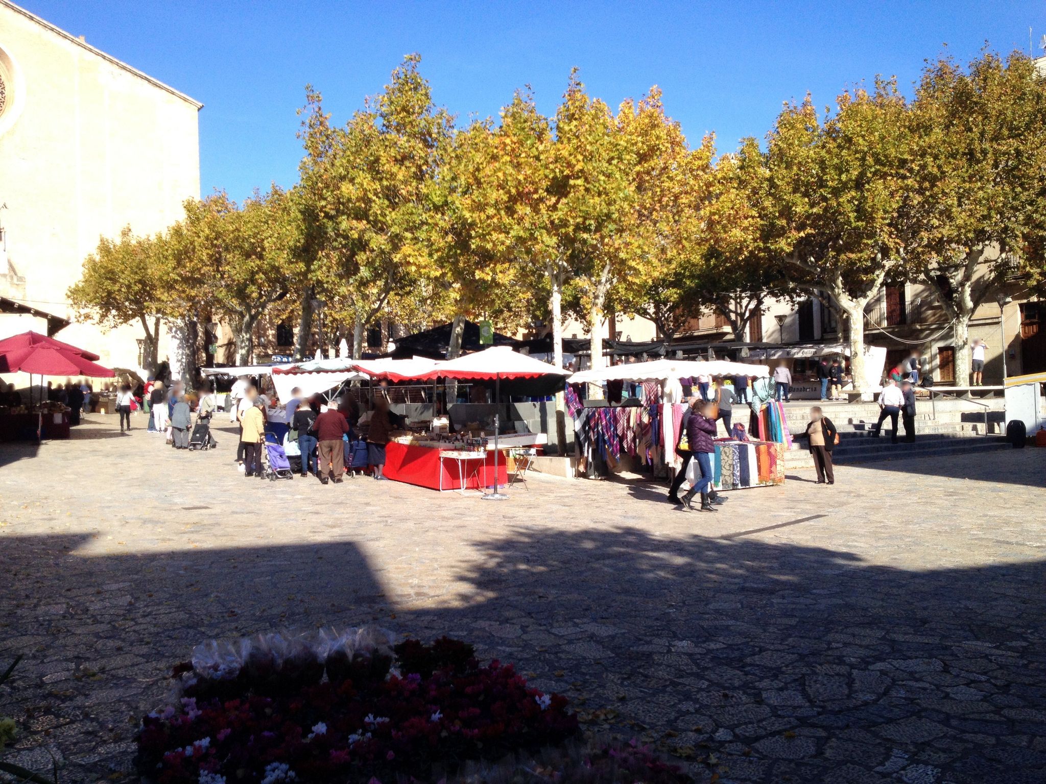 Street view of Pollença