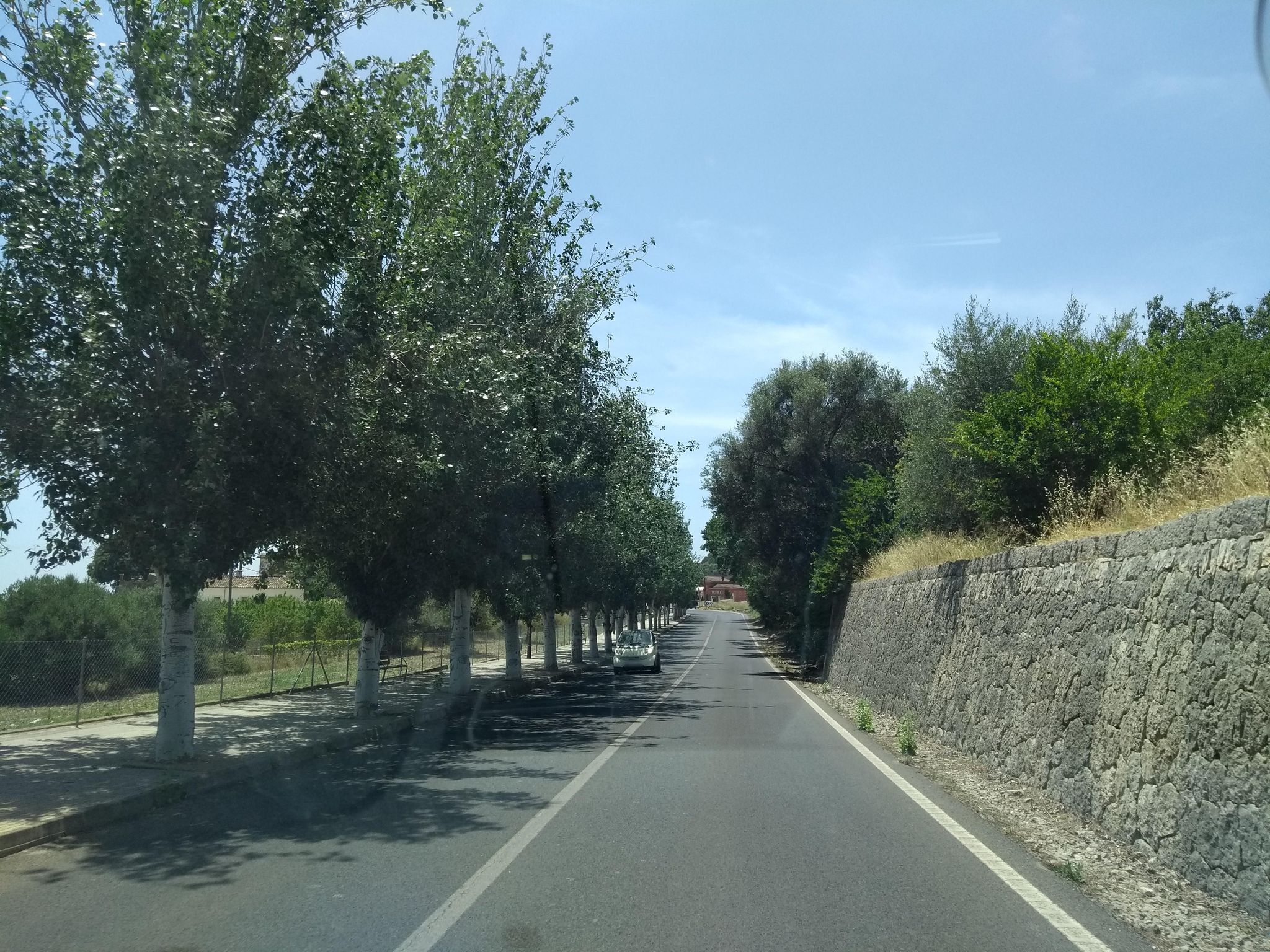 Street view of Selva